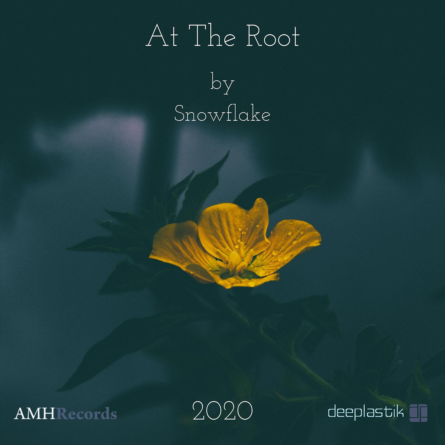 Постер альбома At The Root (2020 remix)