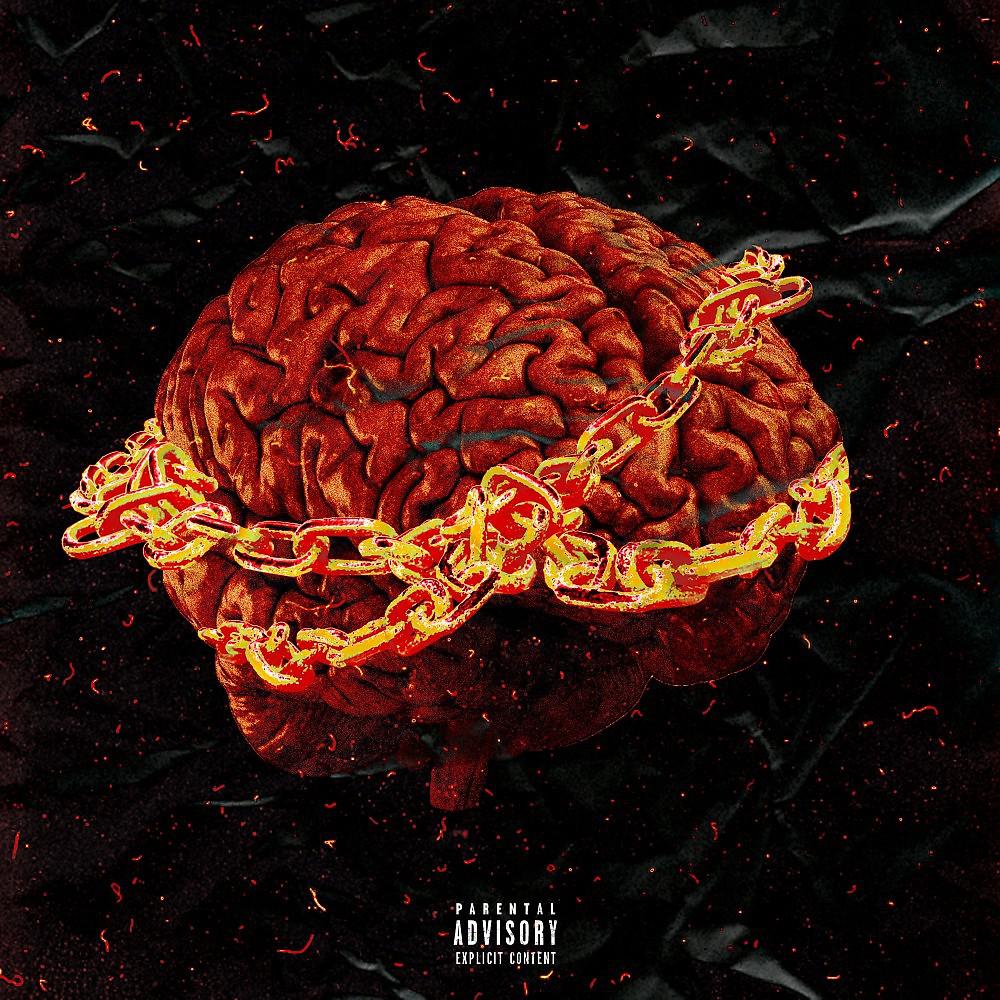 Постер альбома Мозг