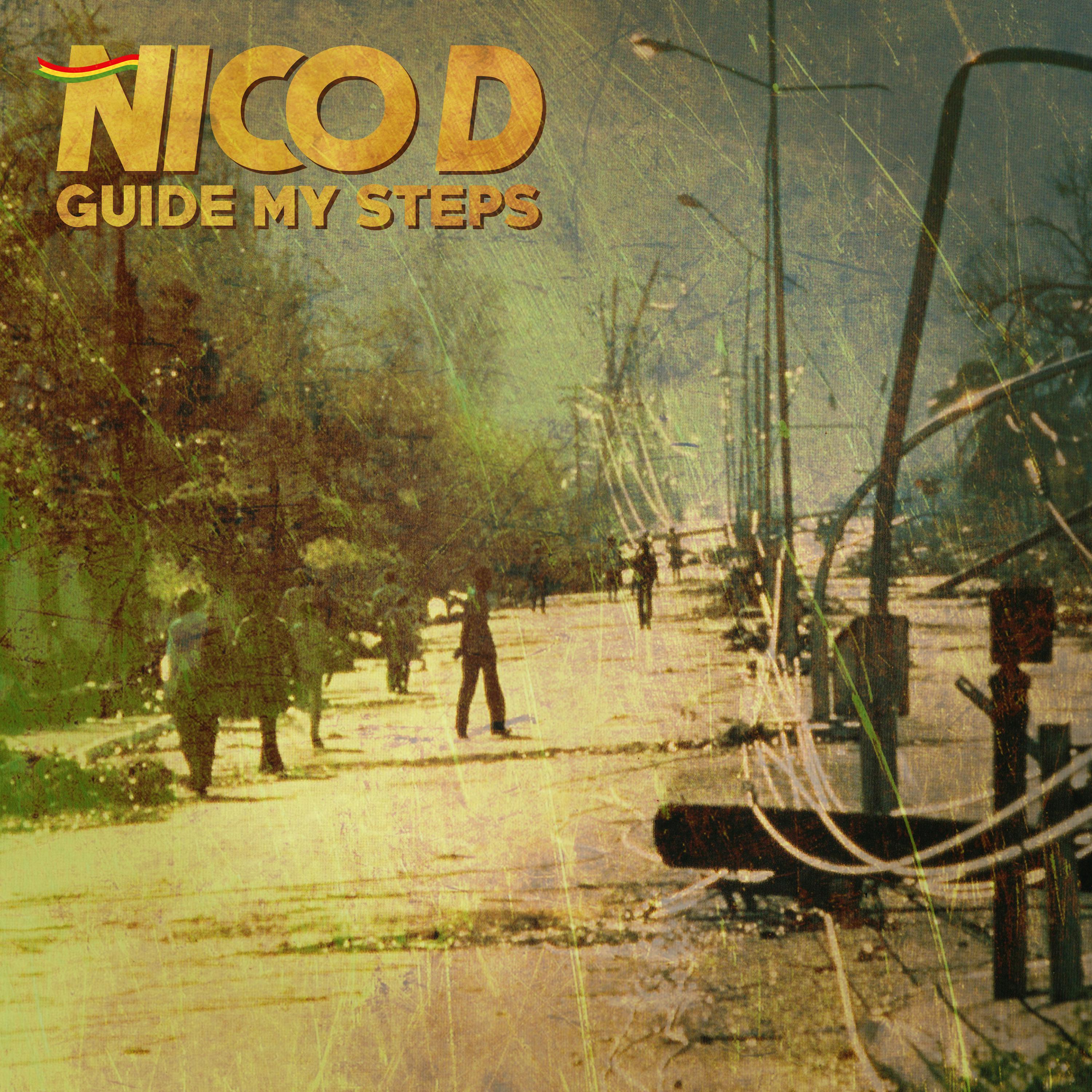 Постер альбома Guide My Steps