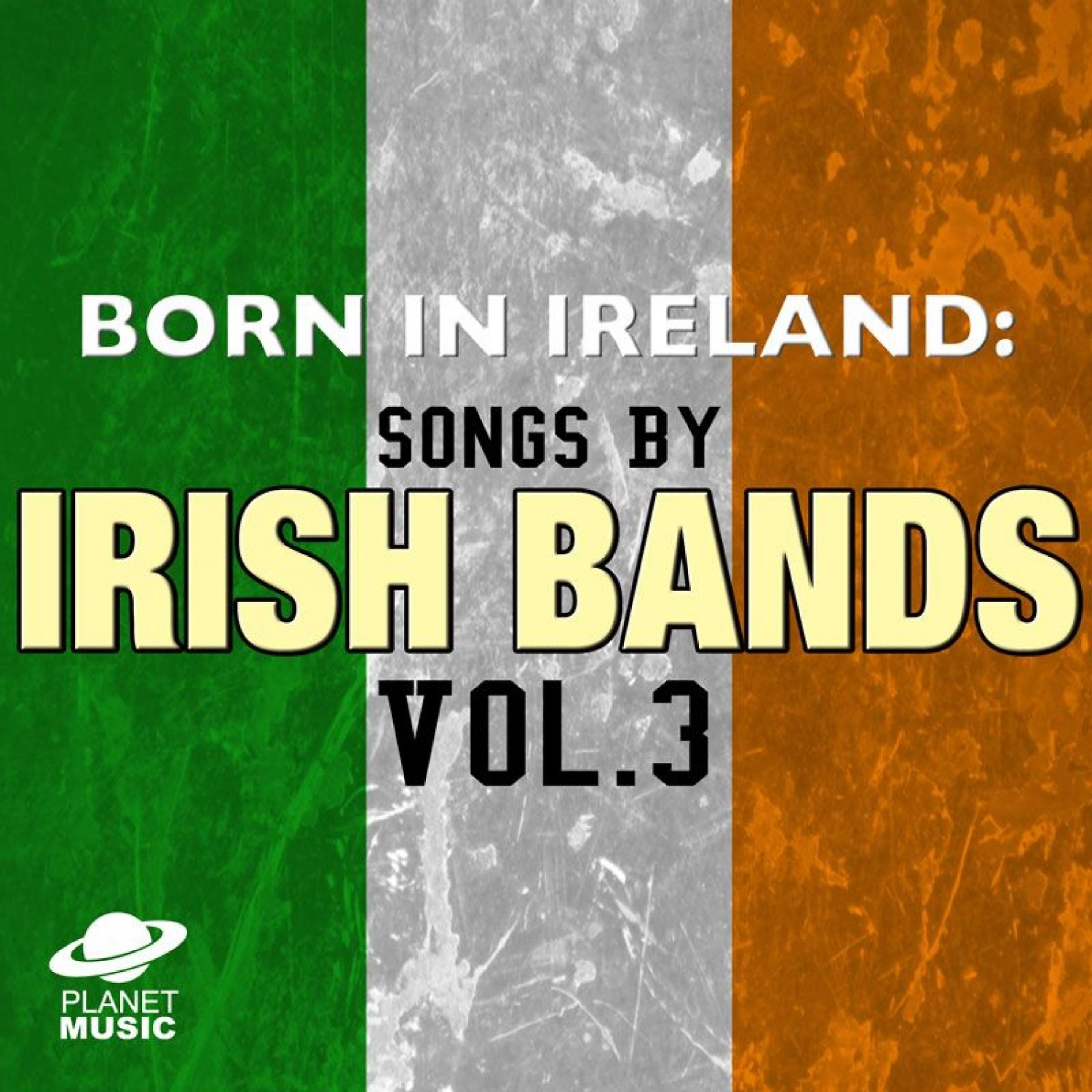 Постер альбома Born in Ireland: Songs By Irish Bands Vol. 3