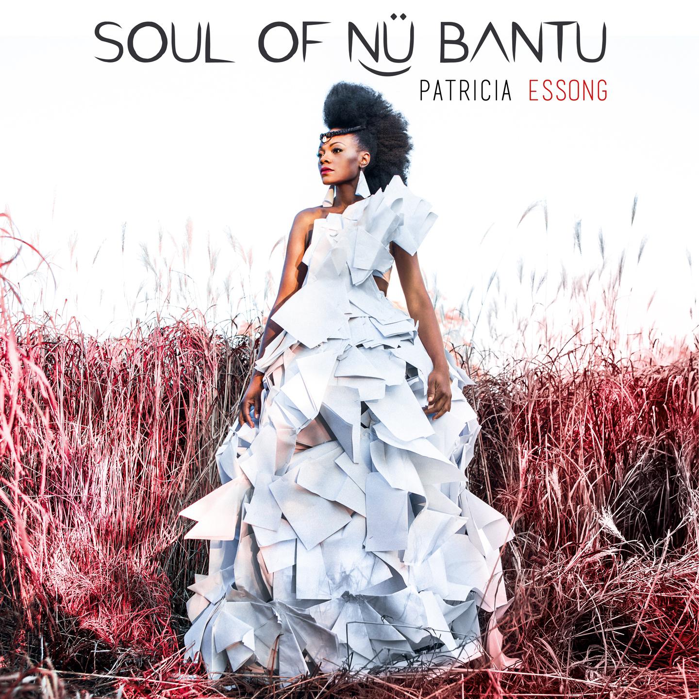 Постер альбома Soul of Nü Bantu