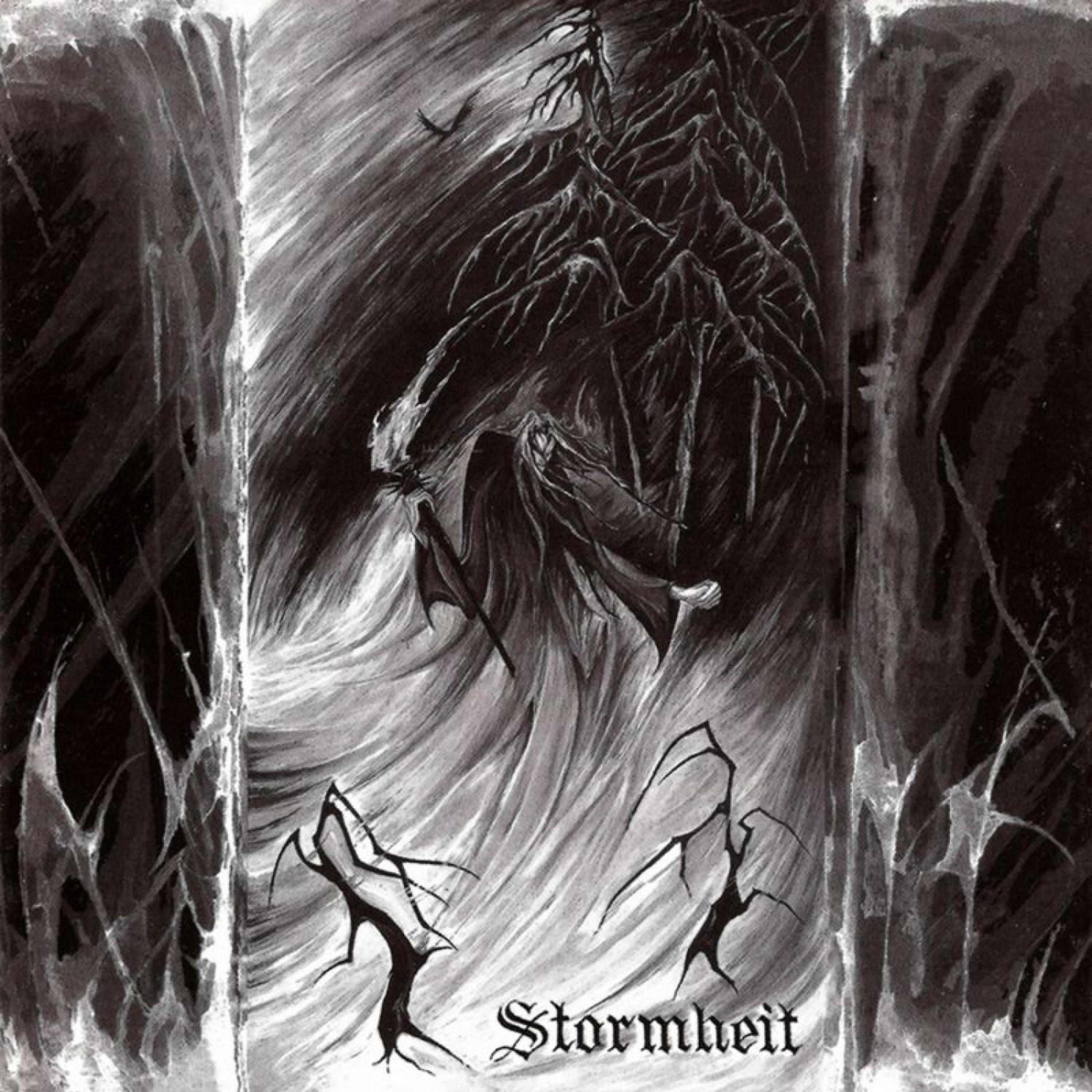 Постер альбома Stormheit