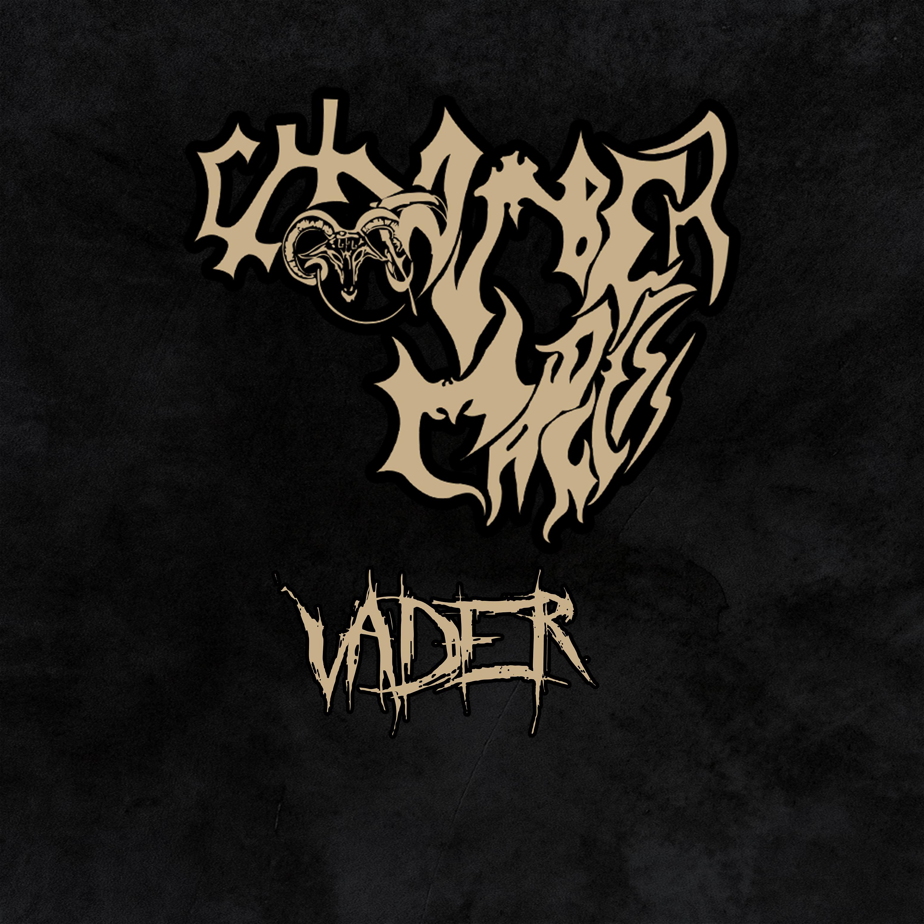 Постер альбома Vader