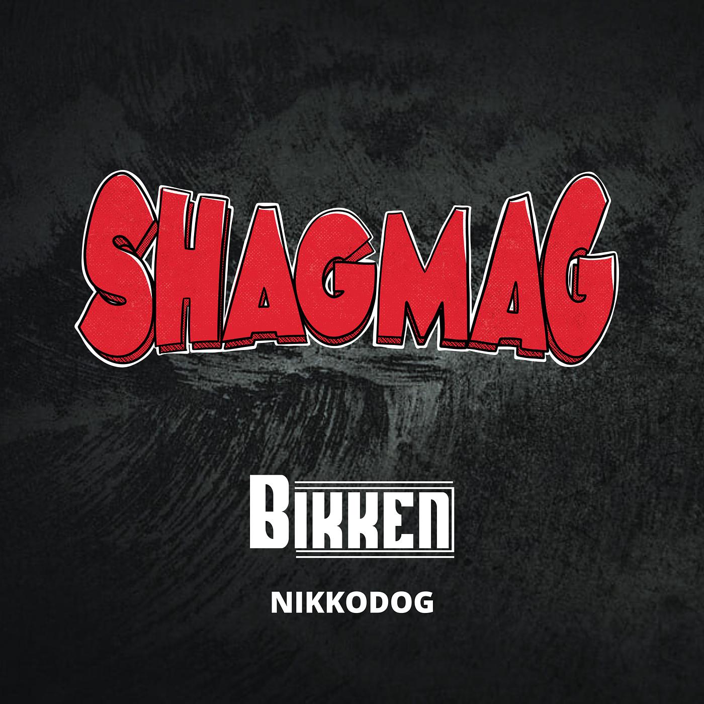 Постер альбома Shagmag