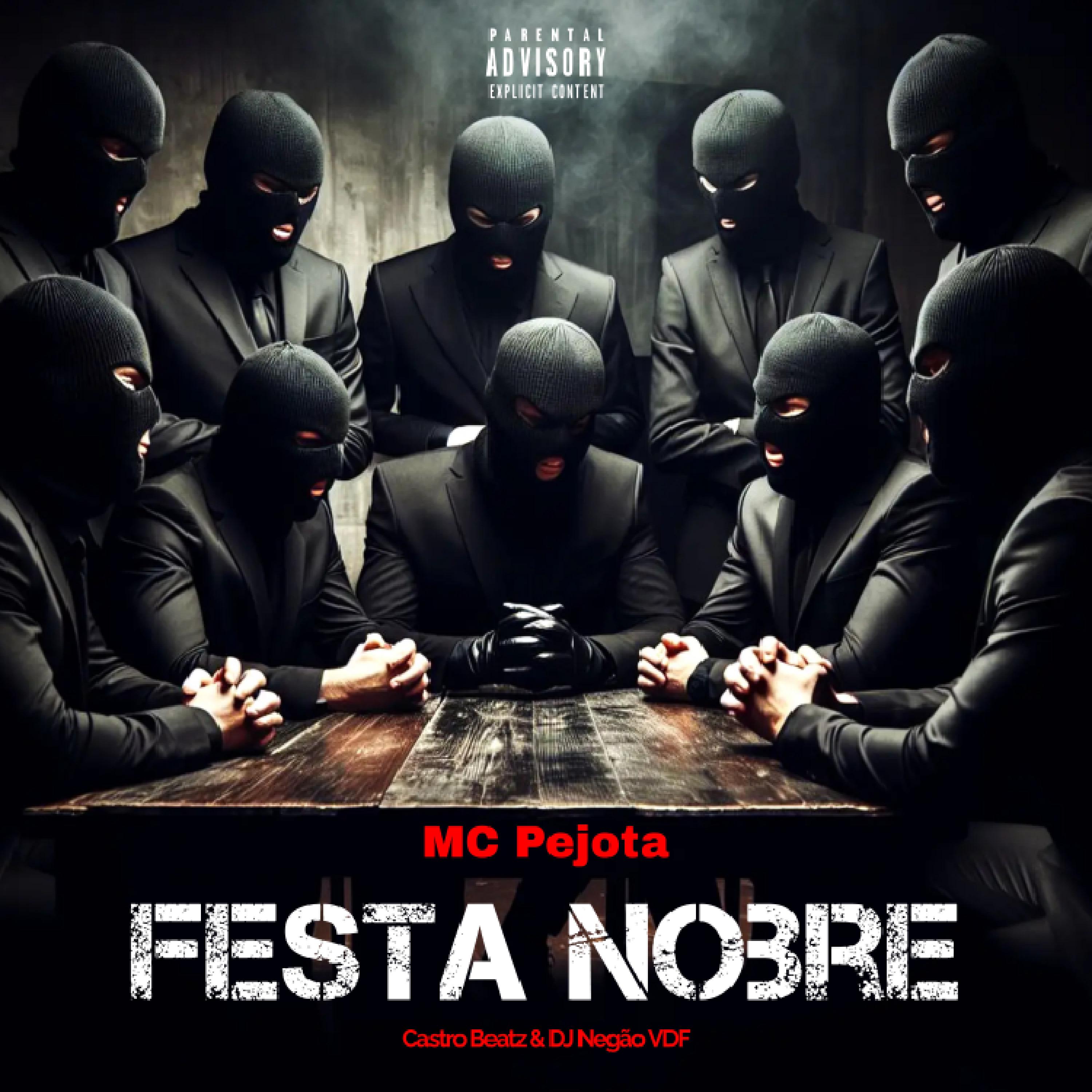 Постер альбома Festa Nobre