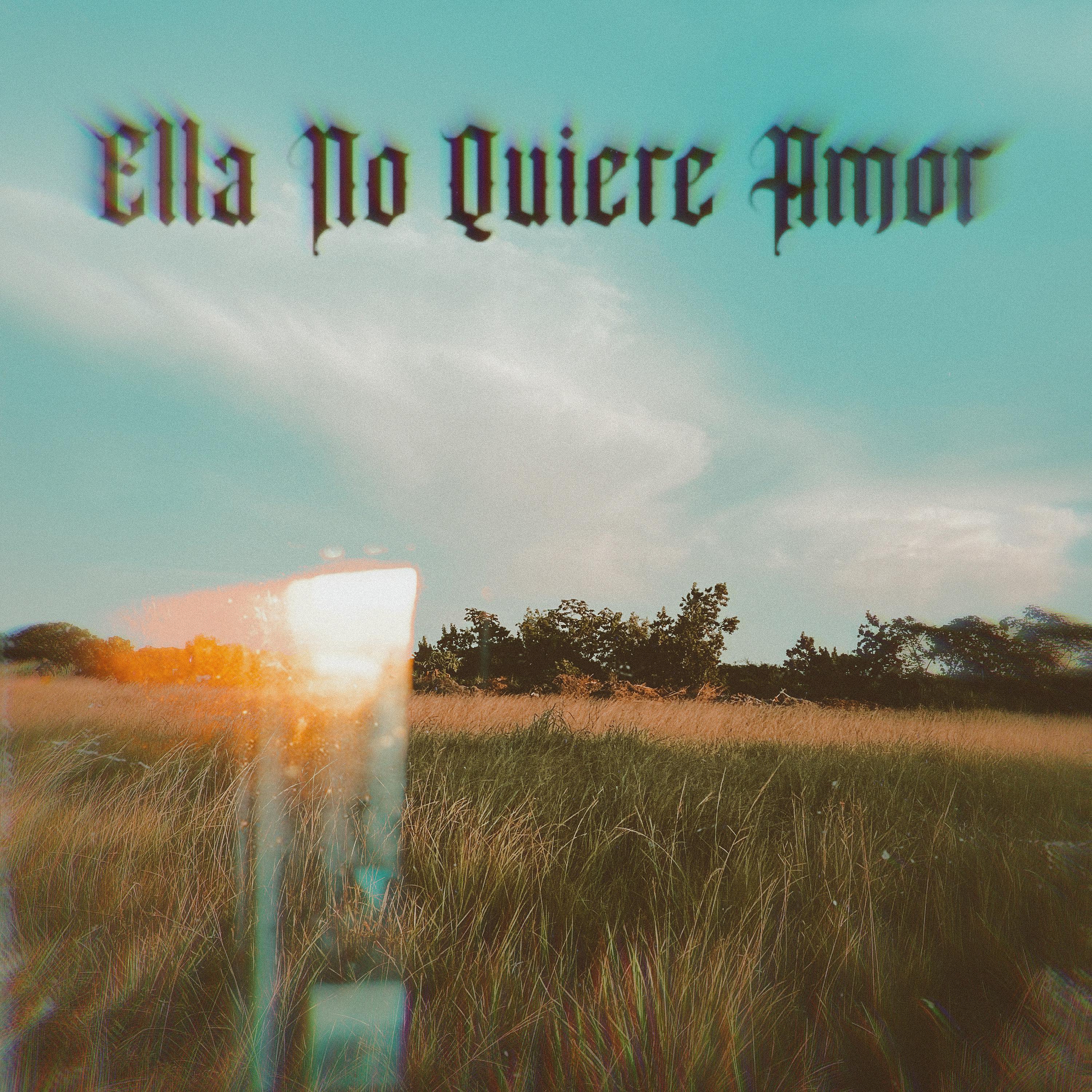 Постер альбома Ella No Quiere Amor