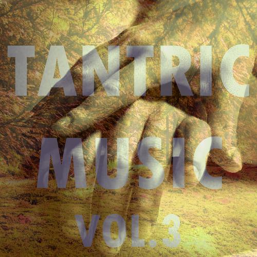 Постер альбома Tantric Music, Vol. 3