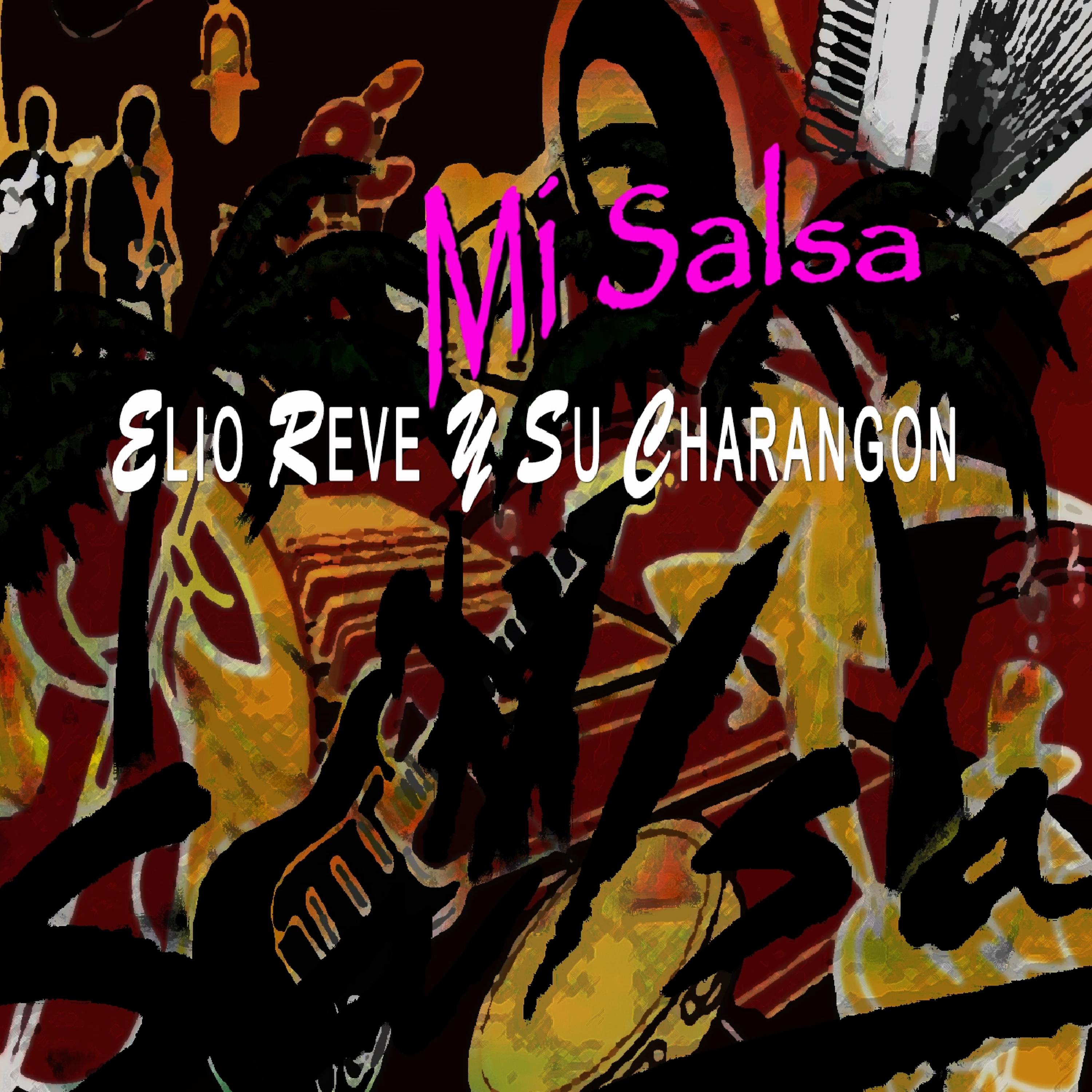 Постер альбома Mi Salsa