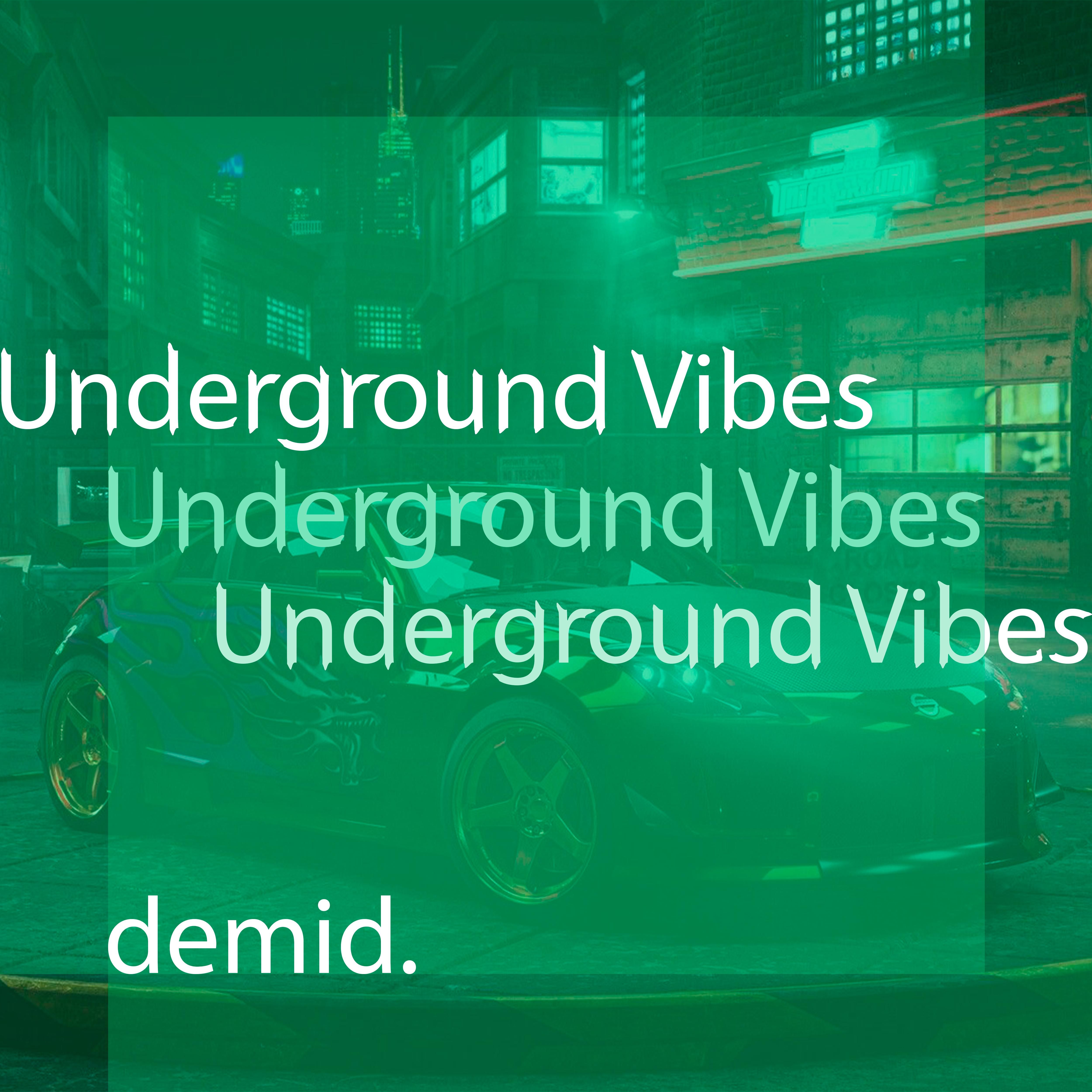 Постер альбома Underground Vibes
