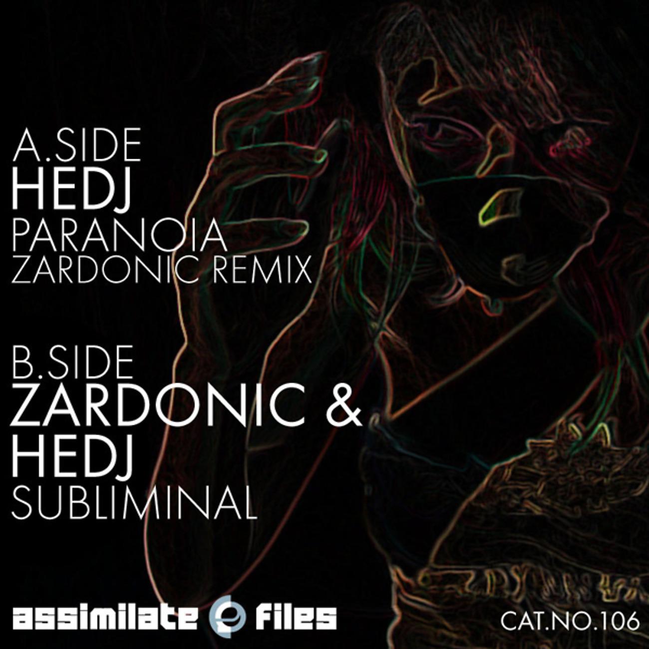 Постер альбома Subliminal / Paranoia (Remix)