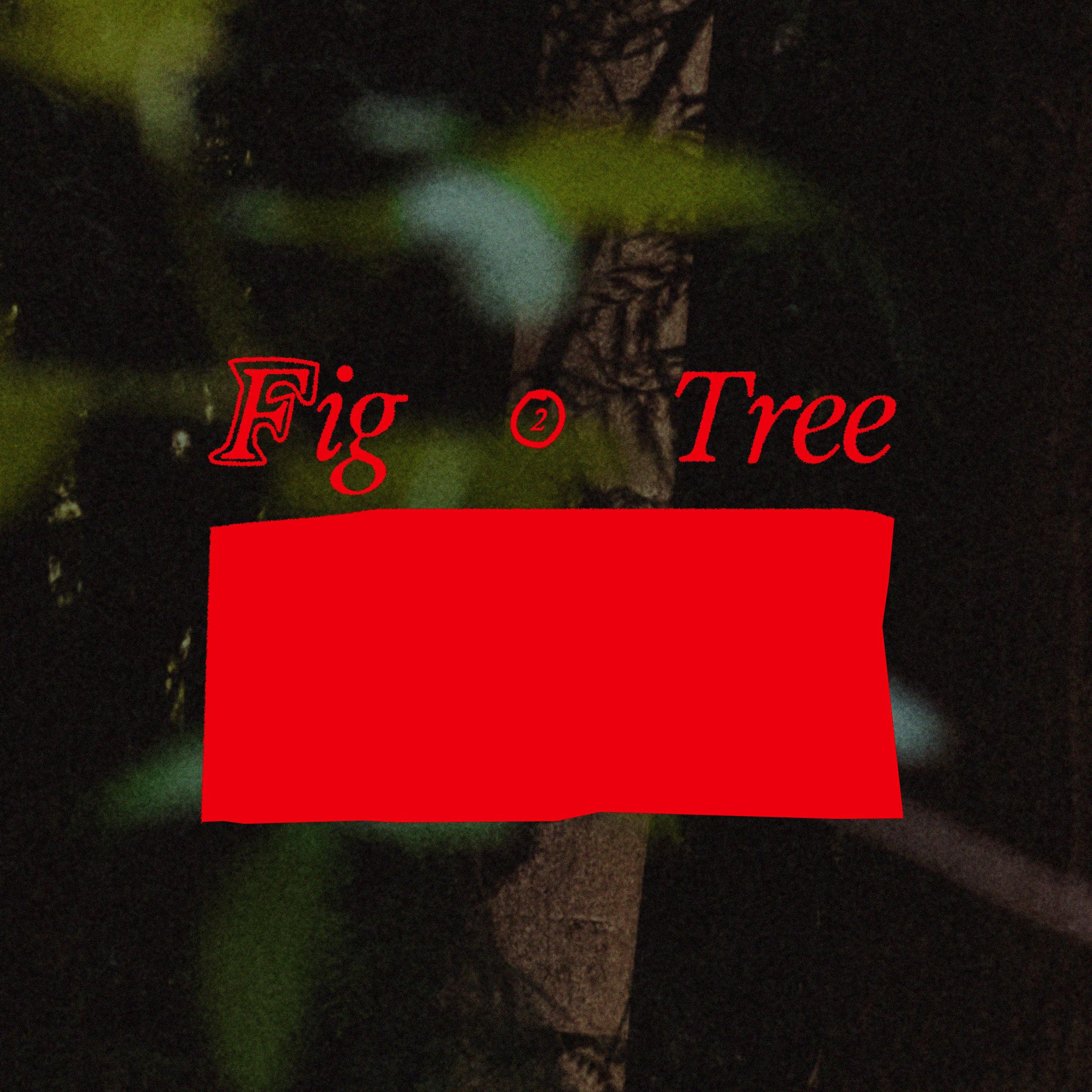 Постер альбома Fig Tree