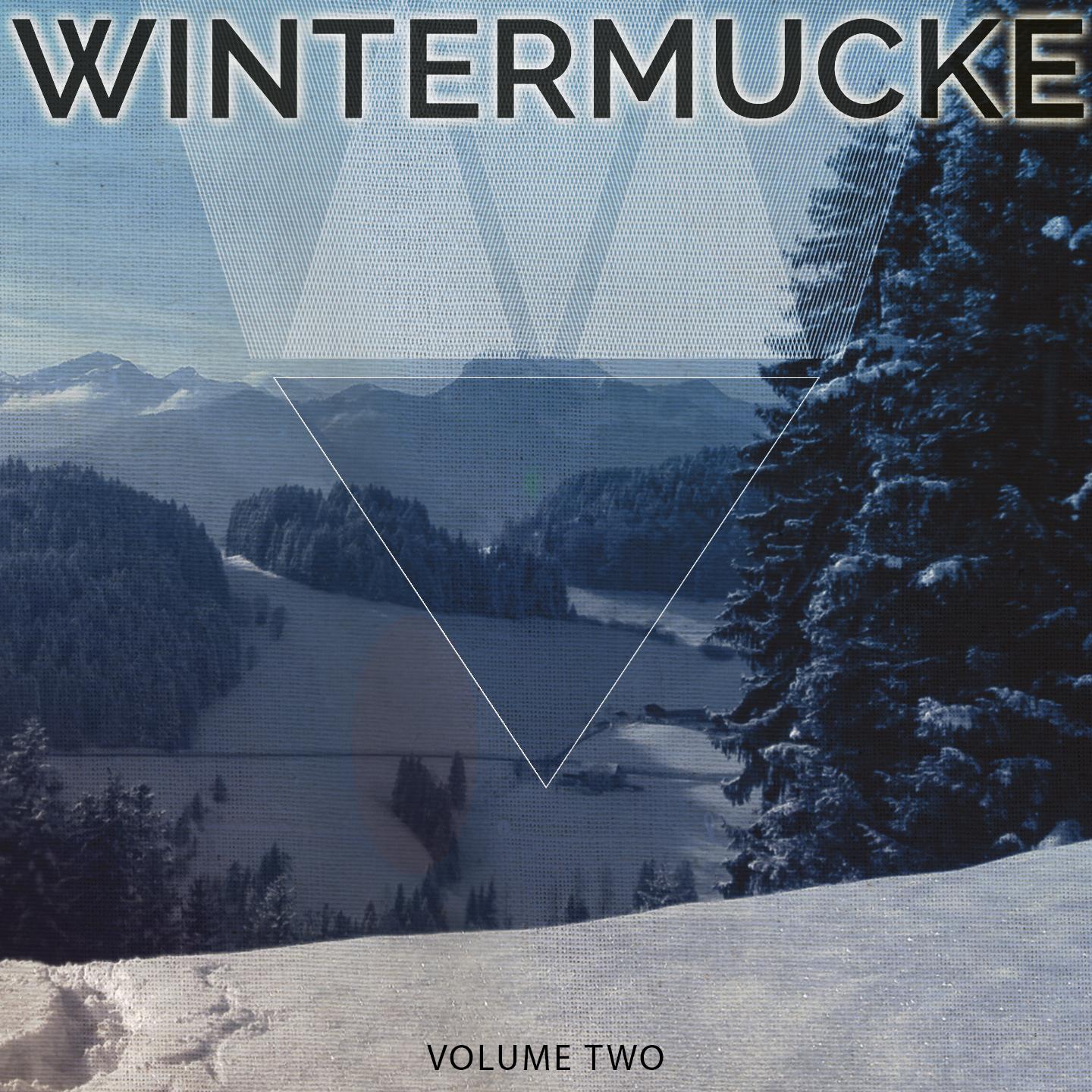 Постер альбома Wintermucke, Vol. 2