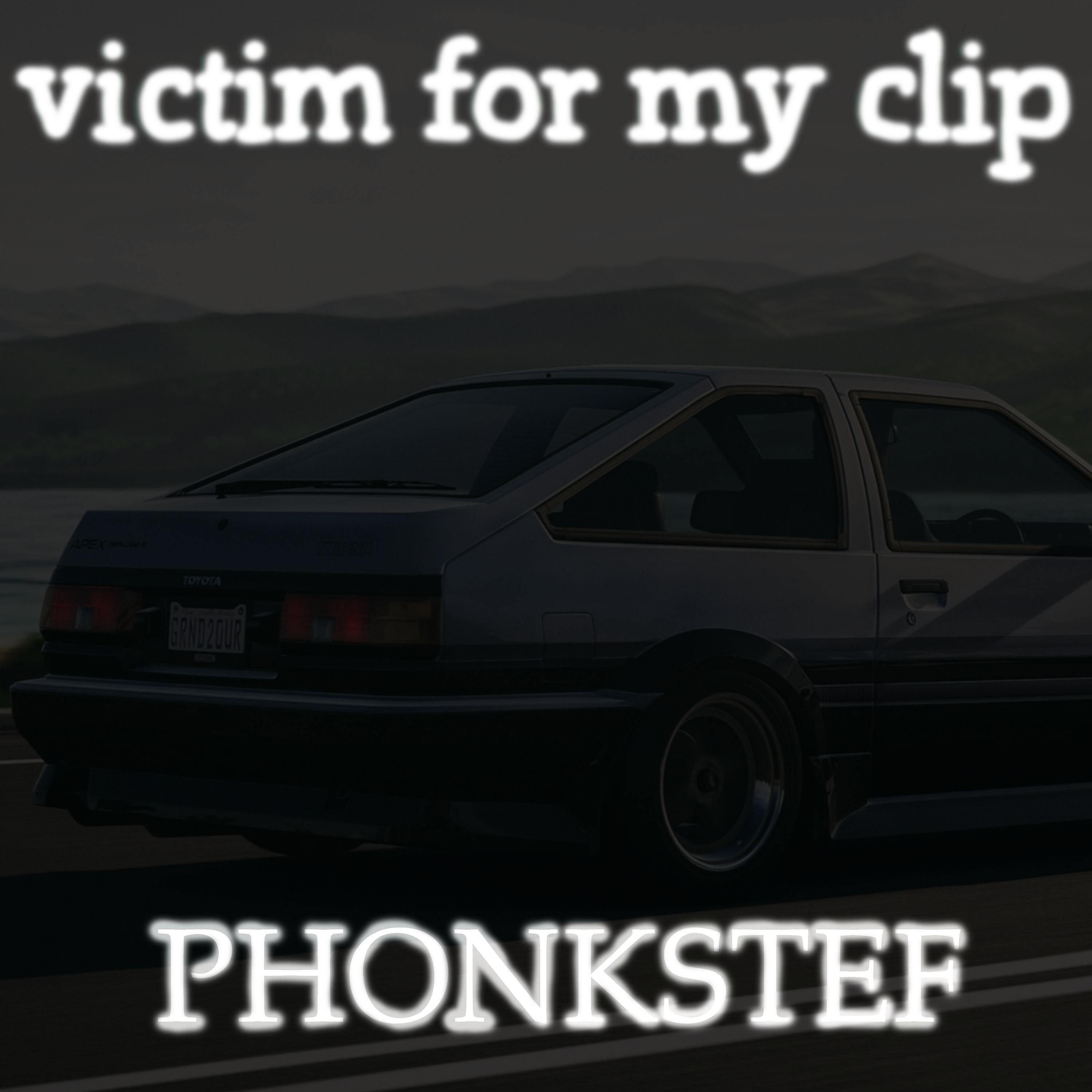 Постер альбома Victim for My Clip