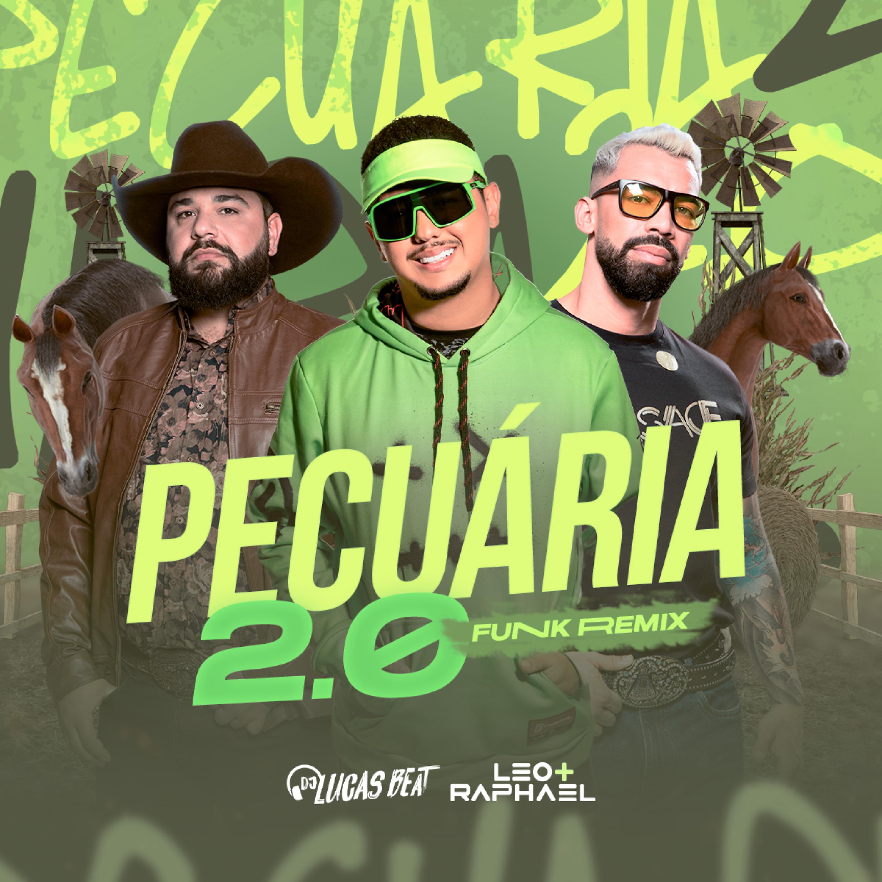 Постер альбома Pecuária 2.0