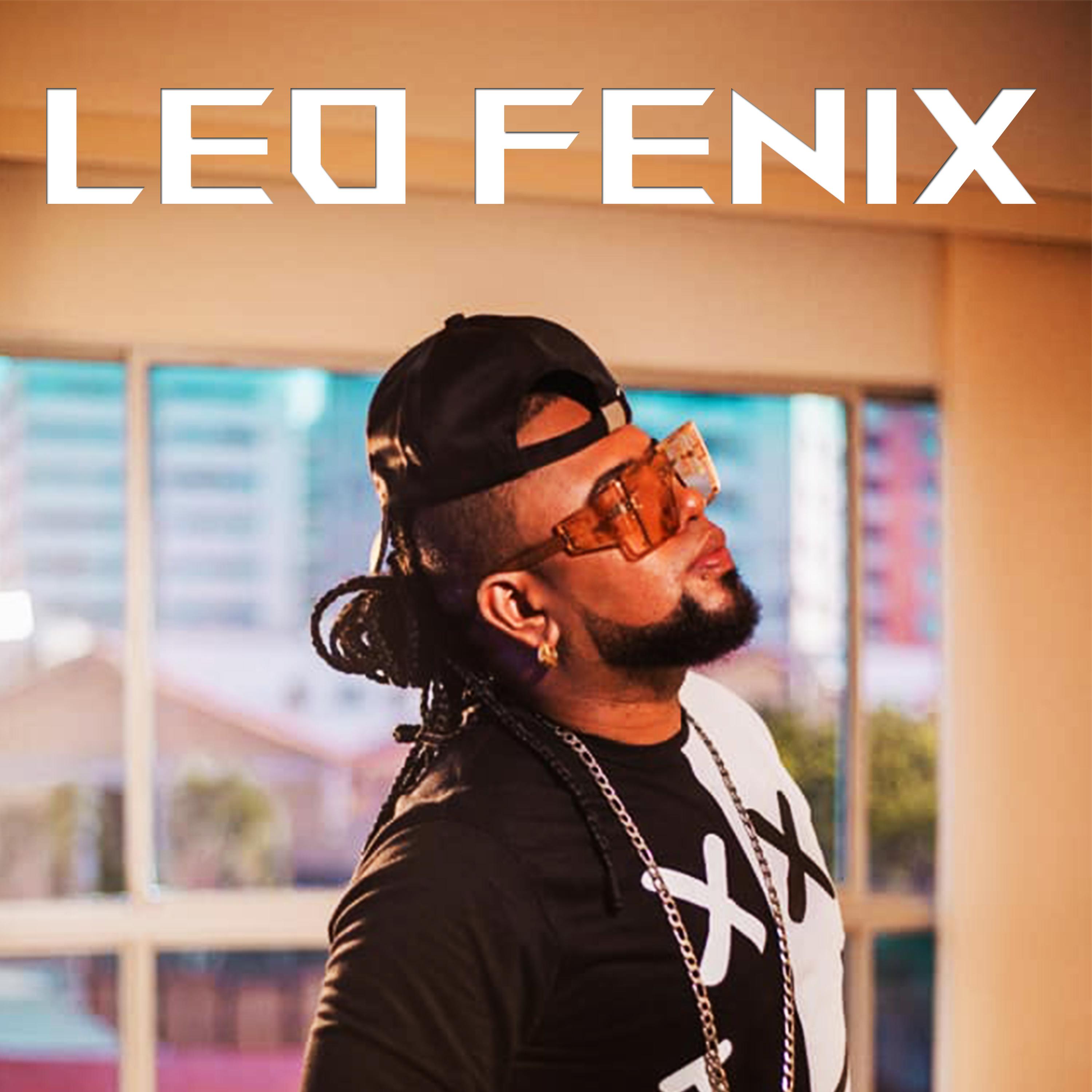 Постер альбома Leo Fenix