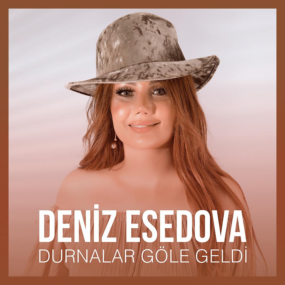 Постер альбома Durnalar Göle Geldi