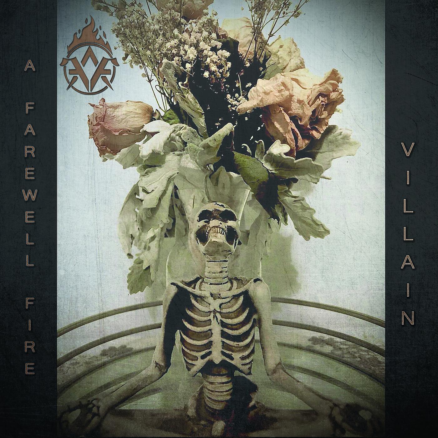 Постер альбома Villain