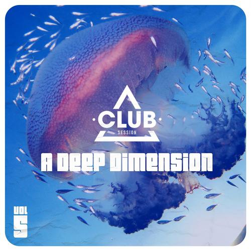 Постер альбома A Deep Dimension Vol. 5