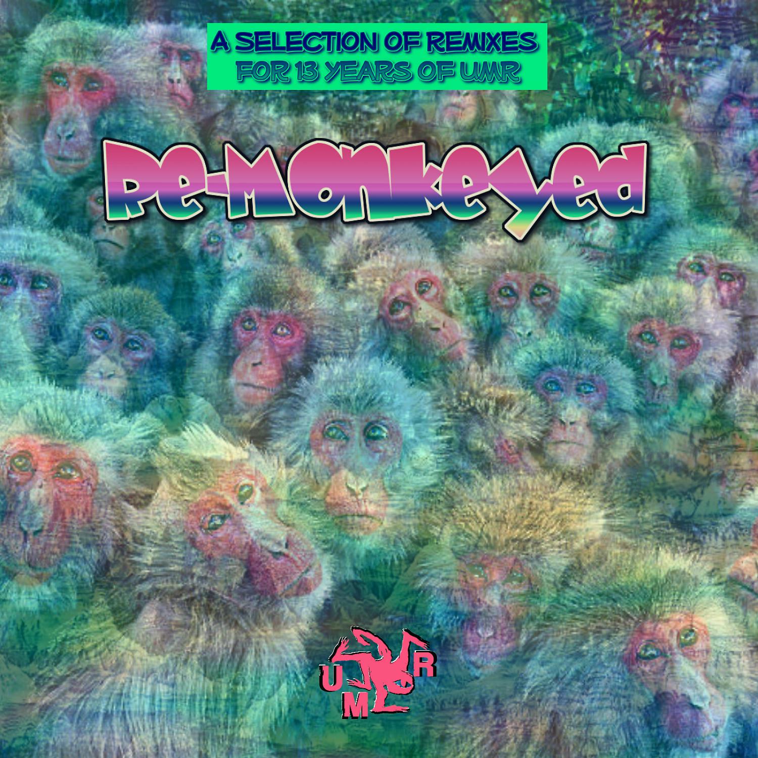 Постер альбома Re-Monkeyed (13 years of UMR)