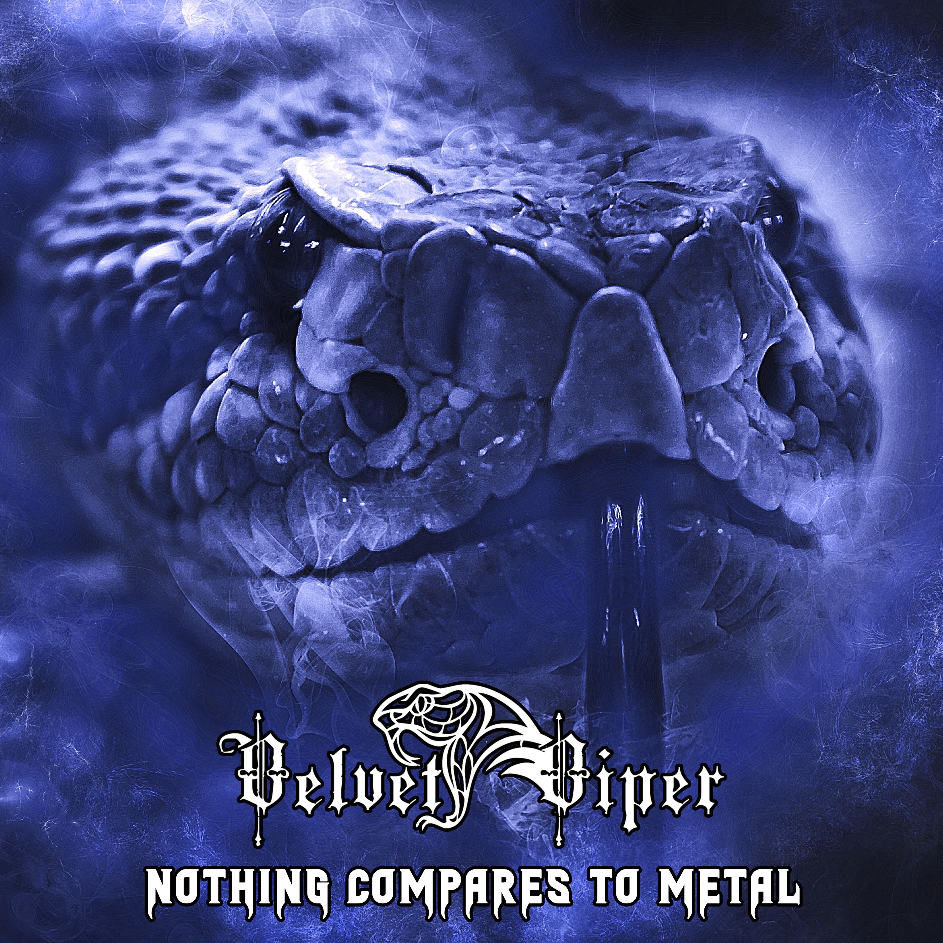 Постер альбома Nothing Compares To Metal