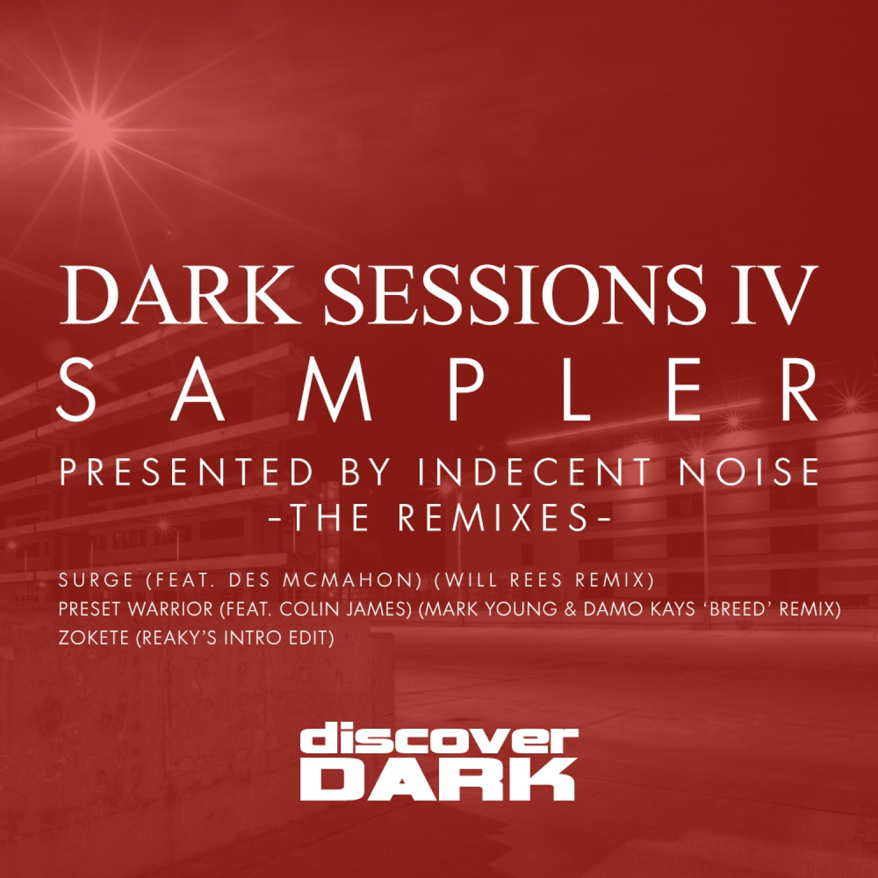 Постер альбома Dark Sessions IV Sampler - The Remixes