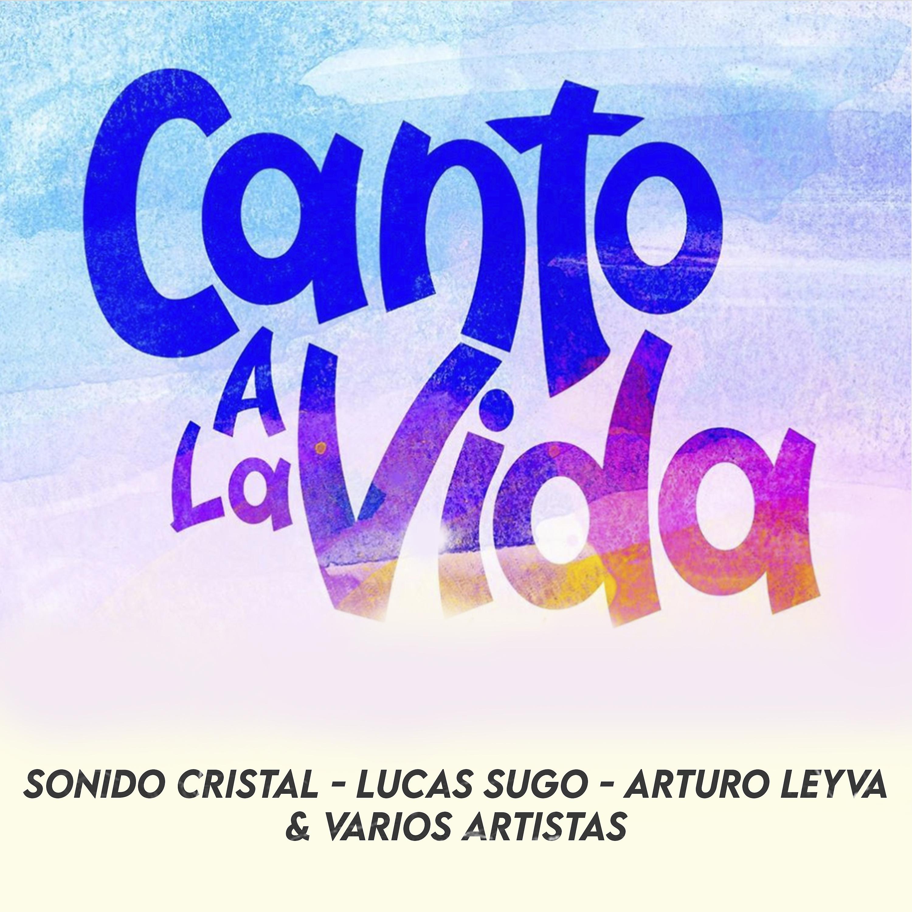 Постер альбома Canto a la Vida