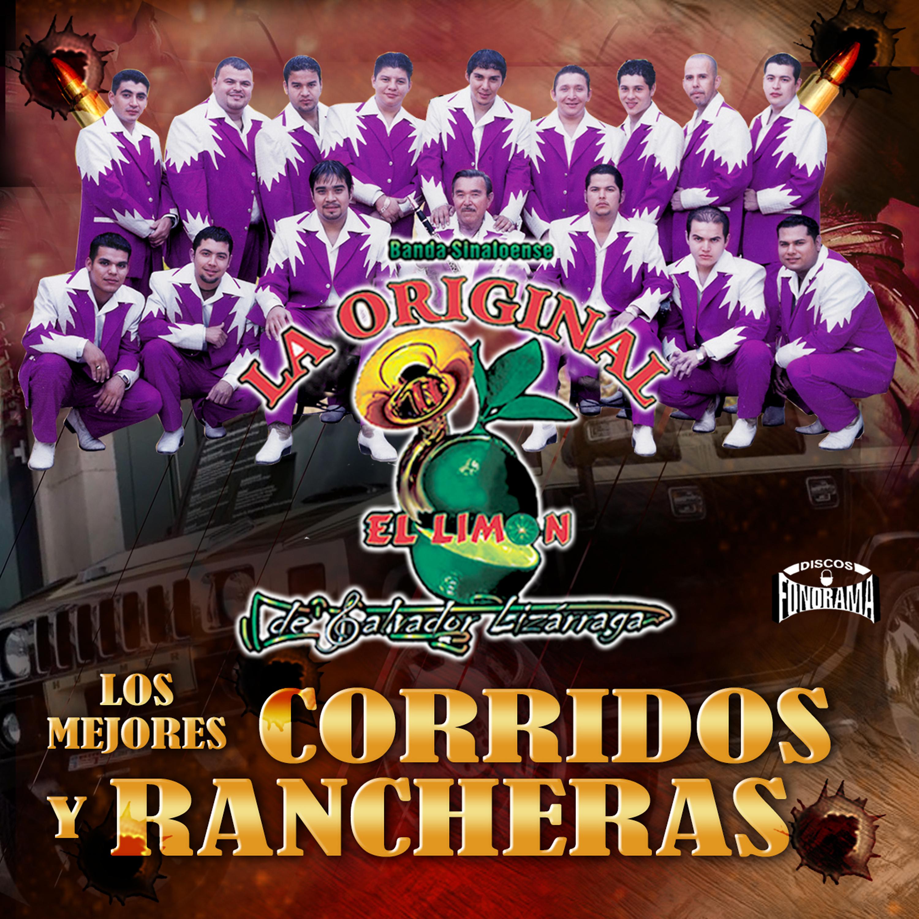 Постер альбома Los Mejores Corridos y Rancheras