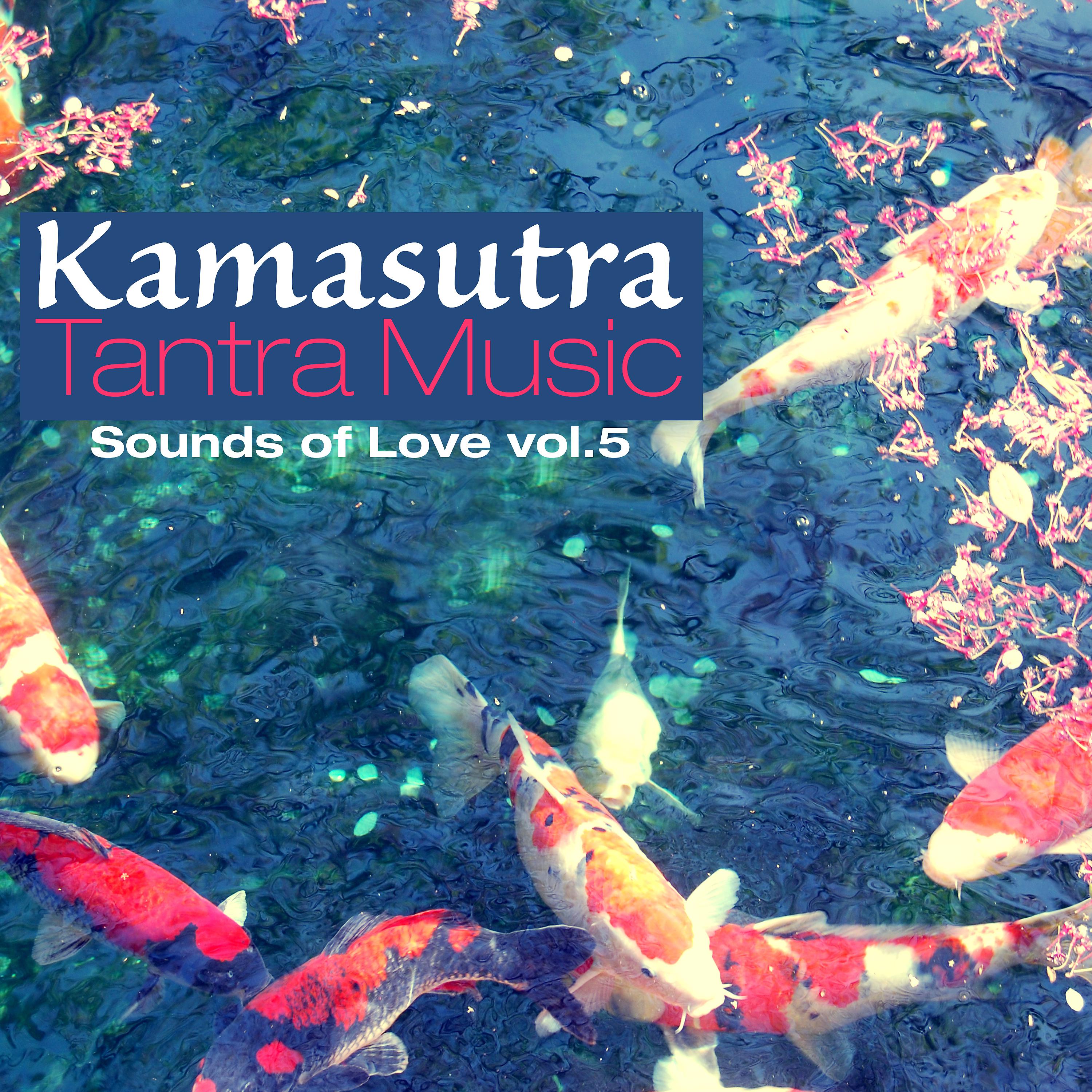 Постер альбома Kamasutra Tantra Music, Vol. 5: Sounds of Love