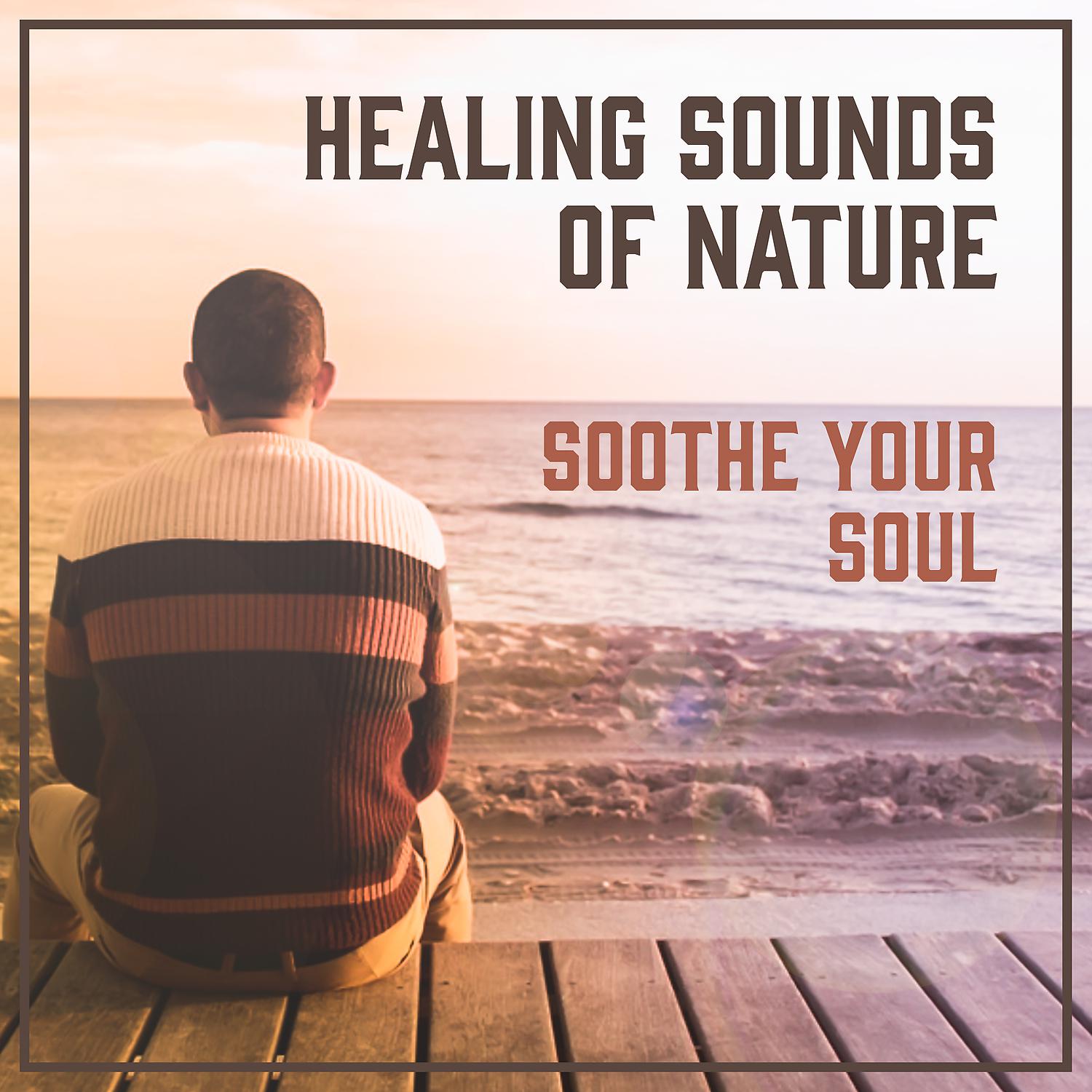Постер альбома Healing Sounds of Nature: Soothe Your Soul, Buddhist Meditation Bar, Yoga Music, Reiki Massage & Spa
