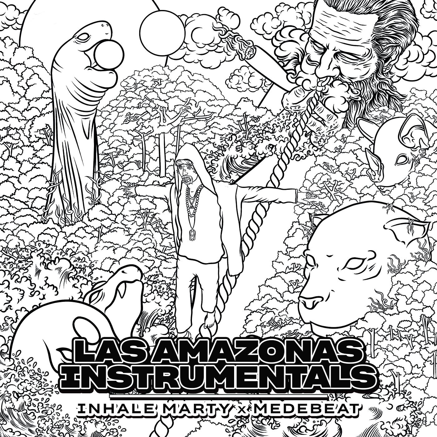 Постер альбома Las Amazonas Instrumentals