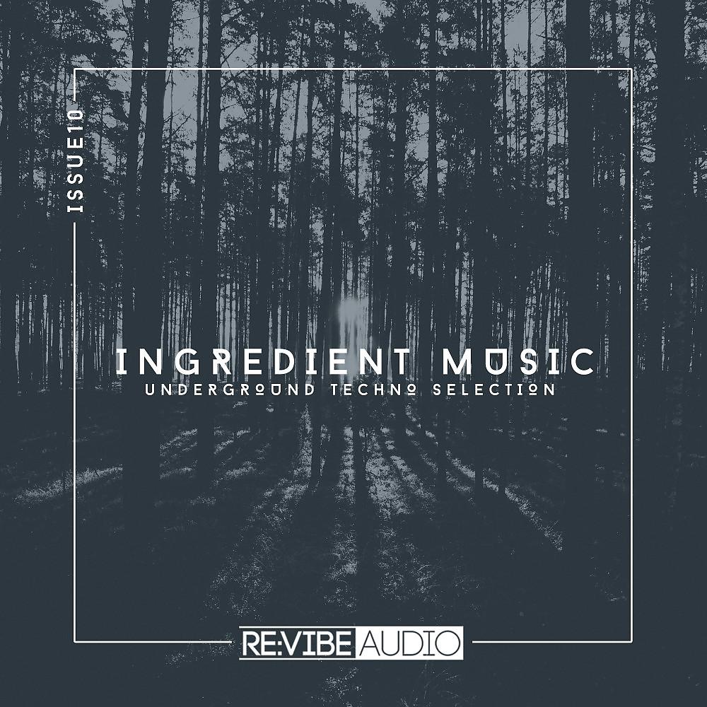 Постер альбома Ingredient Music, Vol. 10