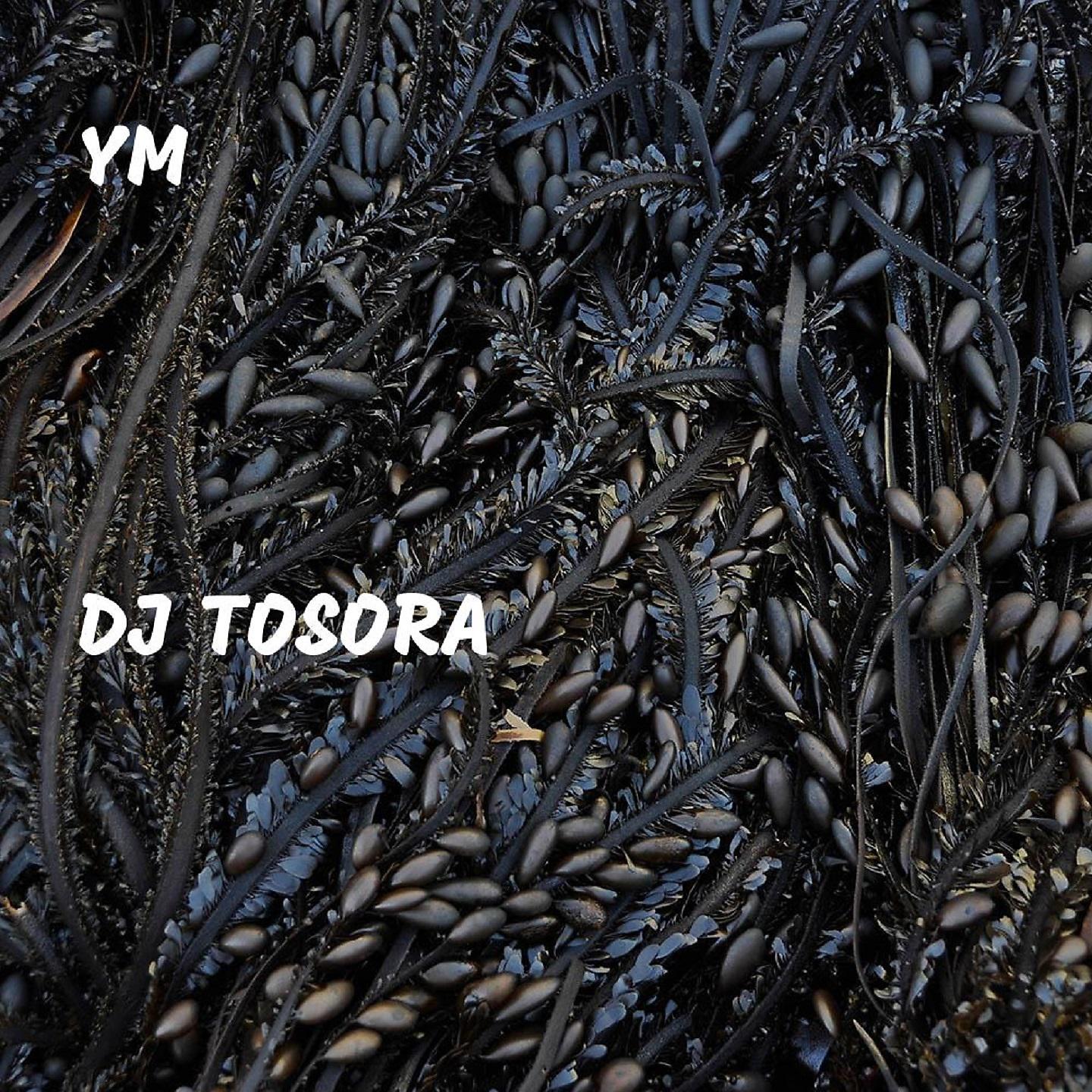 Постер альбома DJ TOSORA