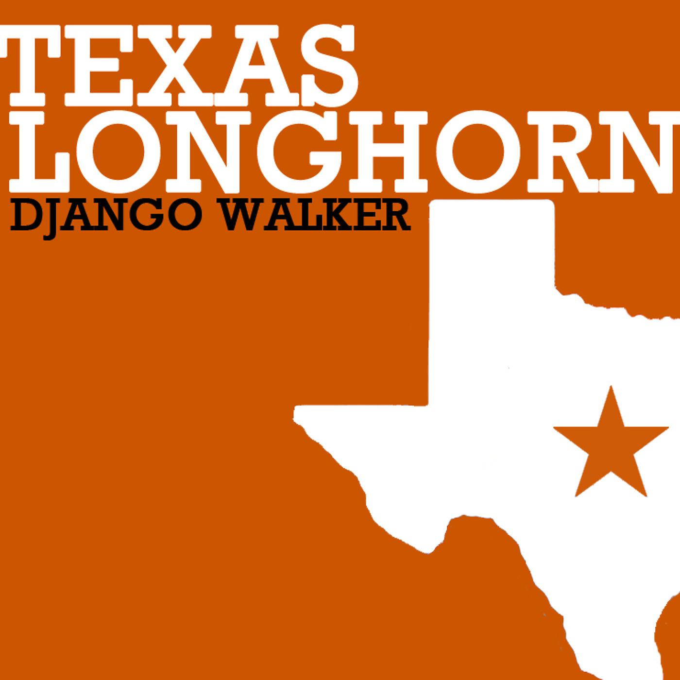 Постер альбома Texas Longhorn