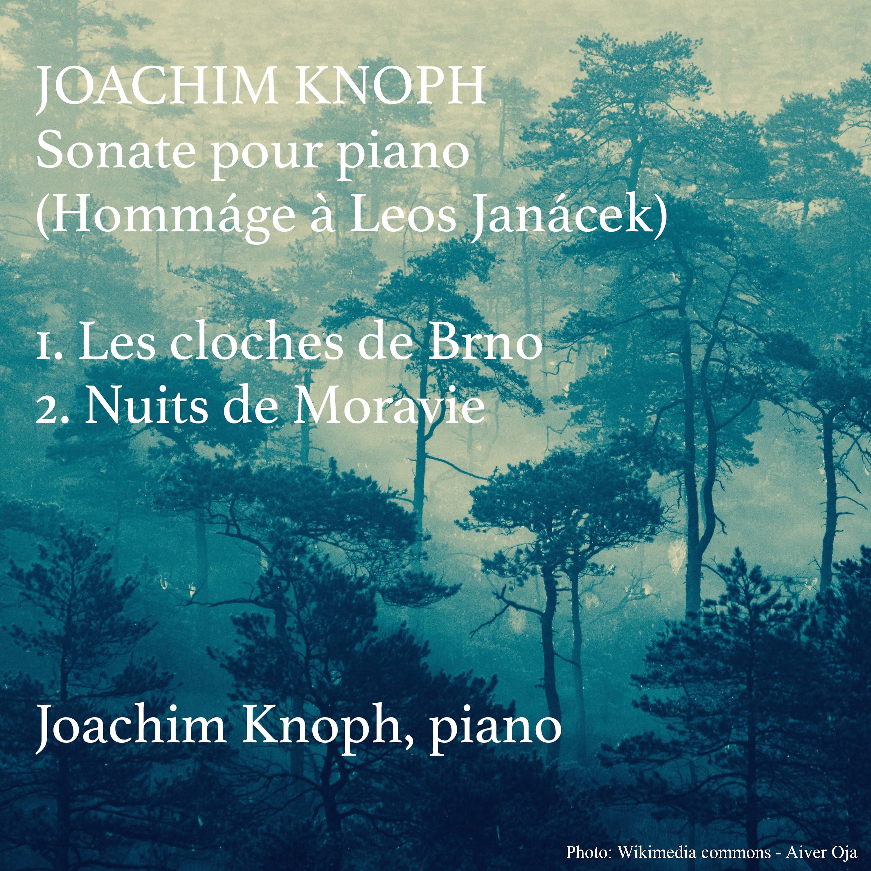 Постер альбома Sonate Pour Piano (Hommáge À Leos Janácek)