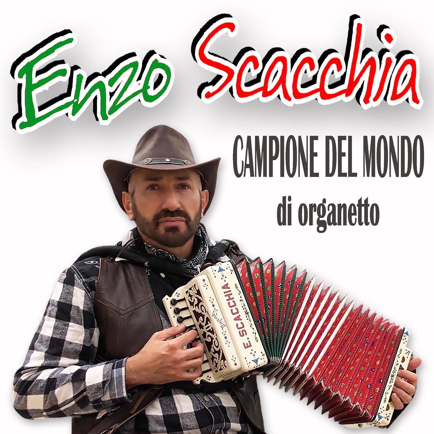 Постер альбома Campione del mondo di organetto