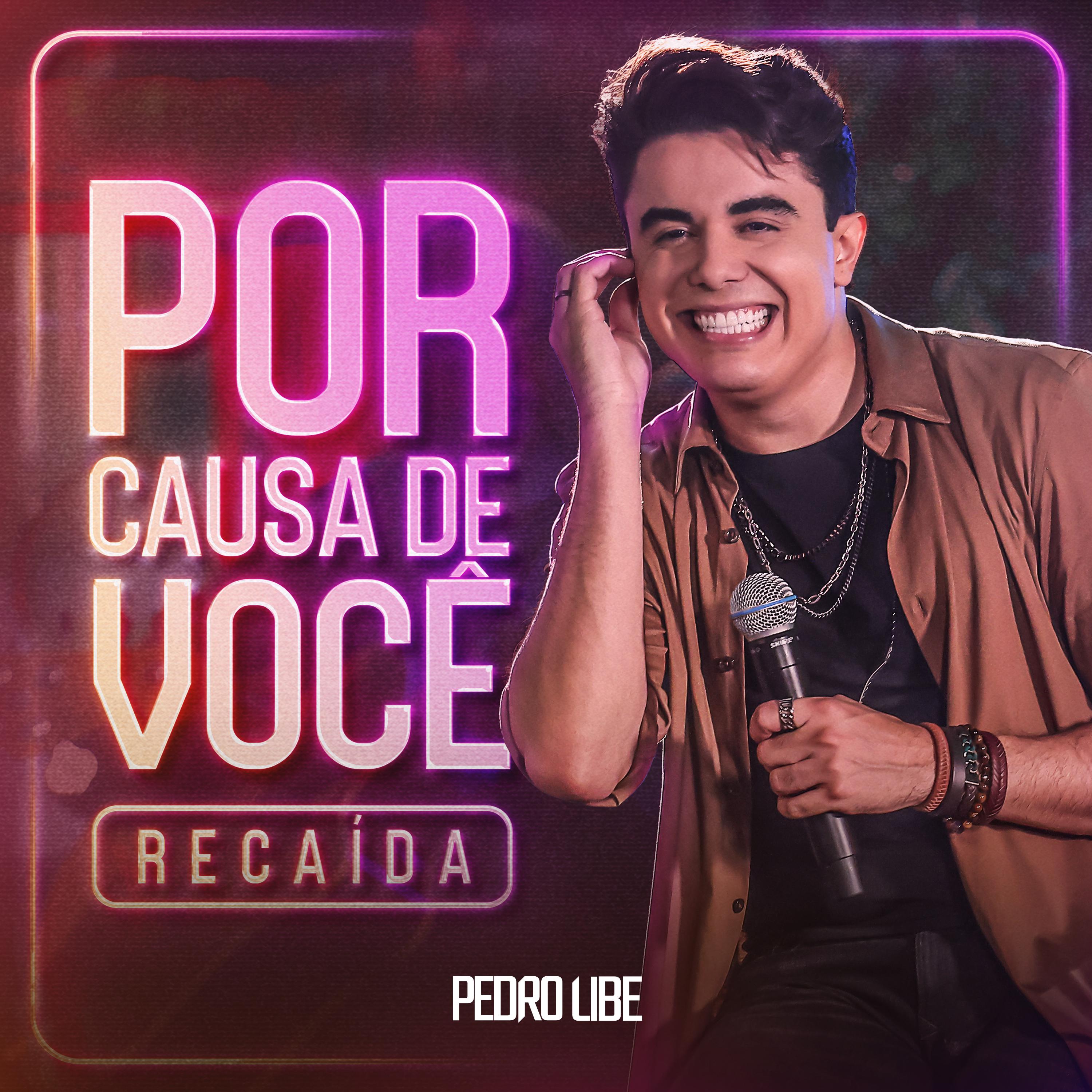 Постер альбома Por Causa de Você / Recaída