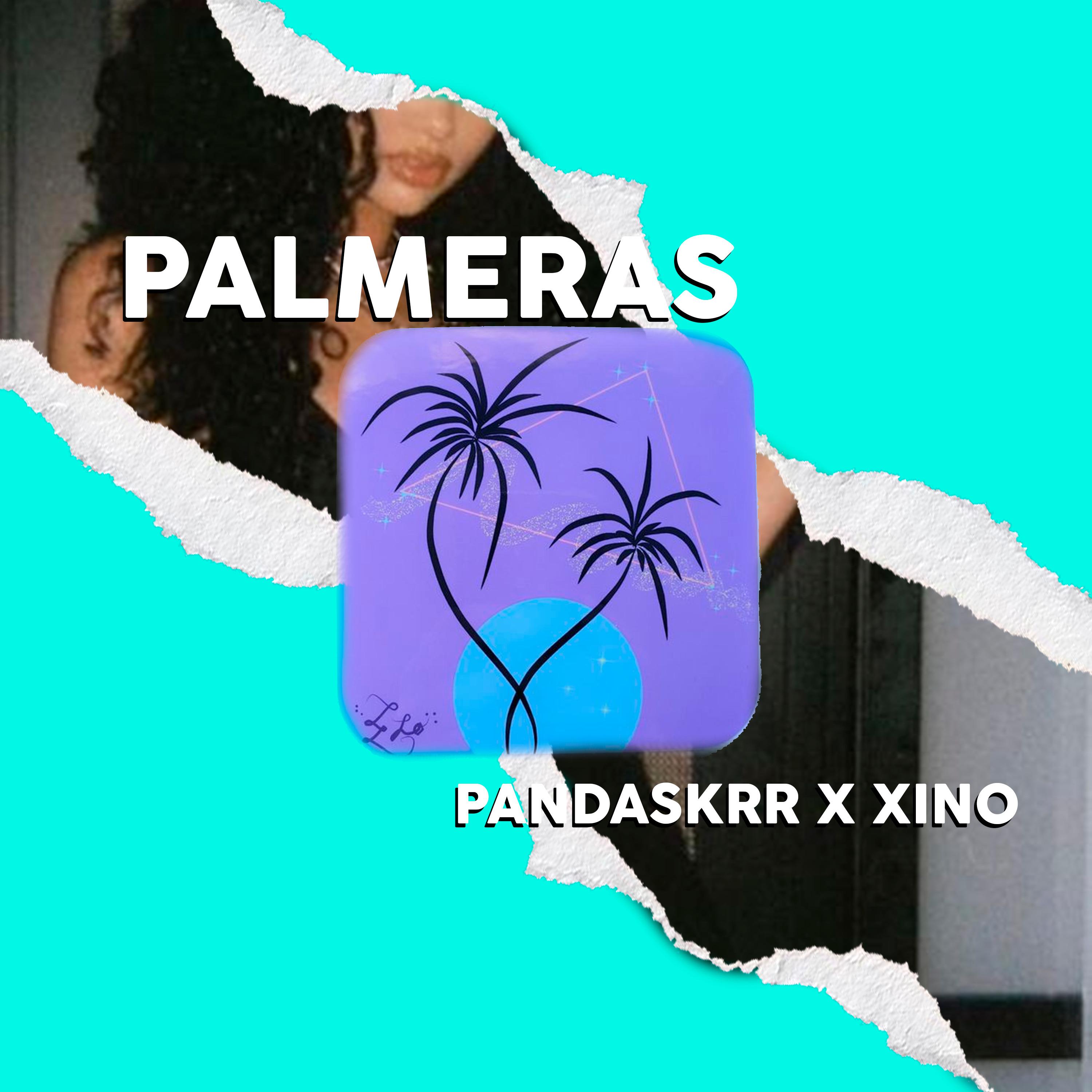 Постер альбома Palmeras