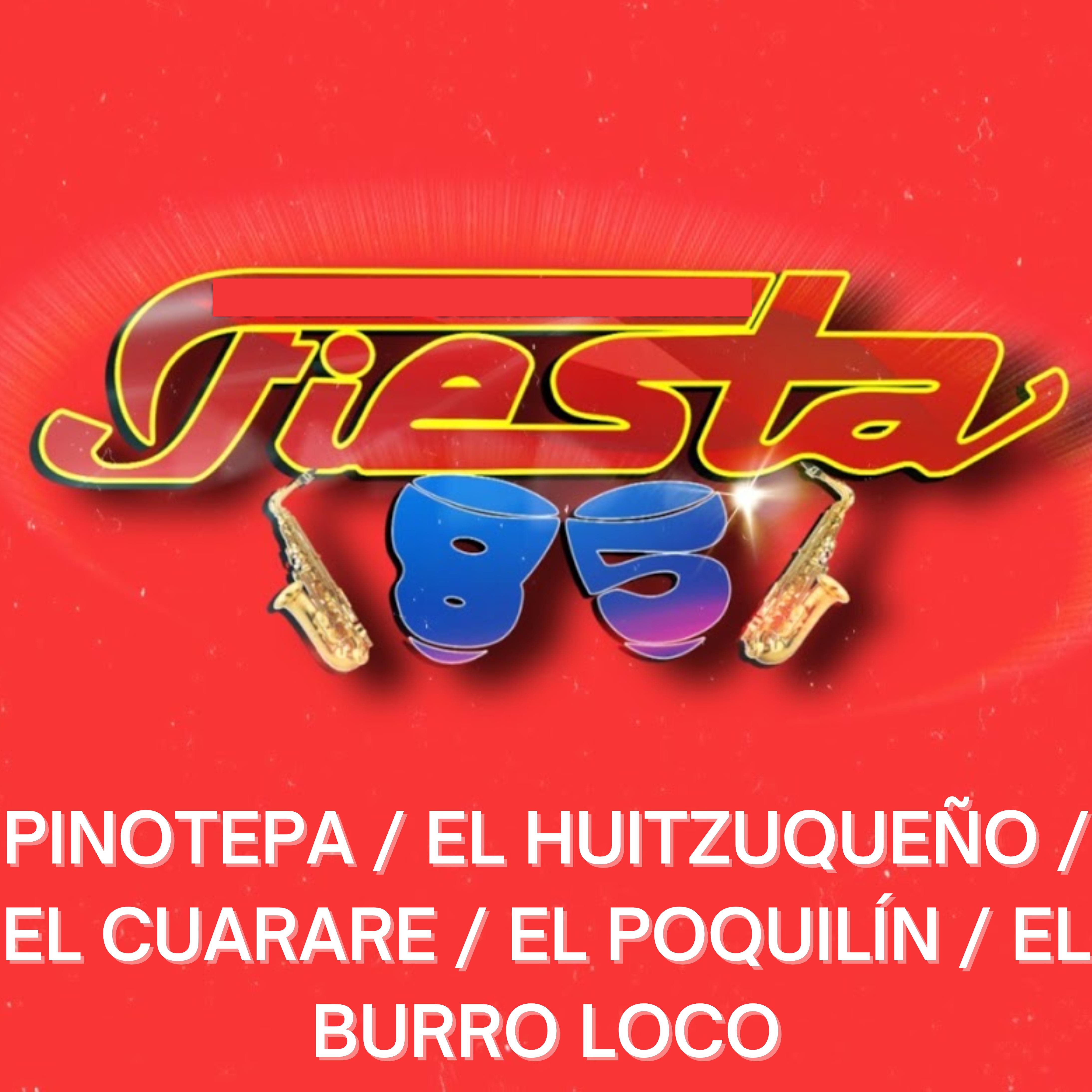 Постер альбома Pinotepa / El Huitzuqueño / El Cuarare / El Poquilín / El Burro Loco