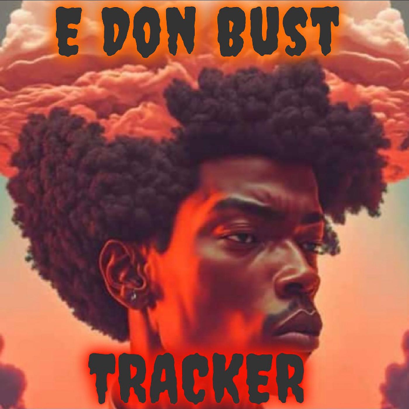 Постер альбома E Don Bust