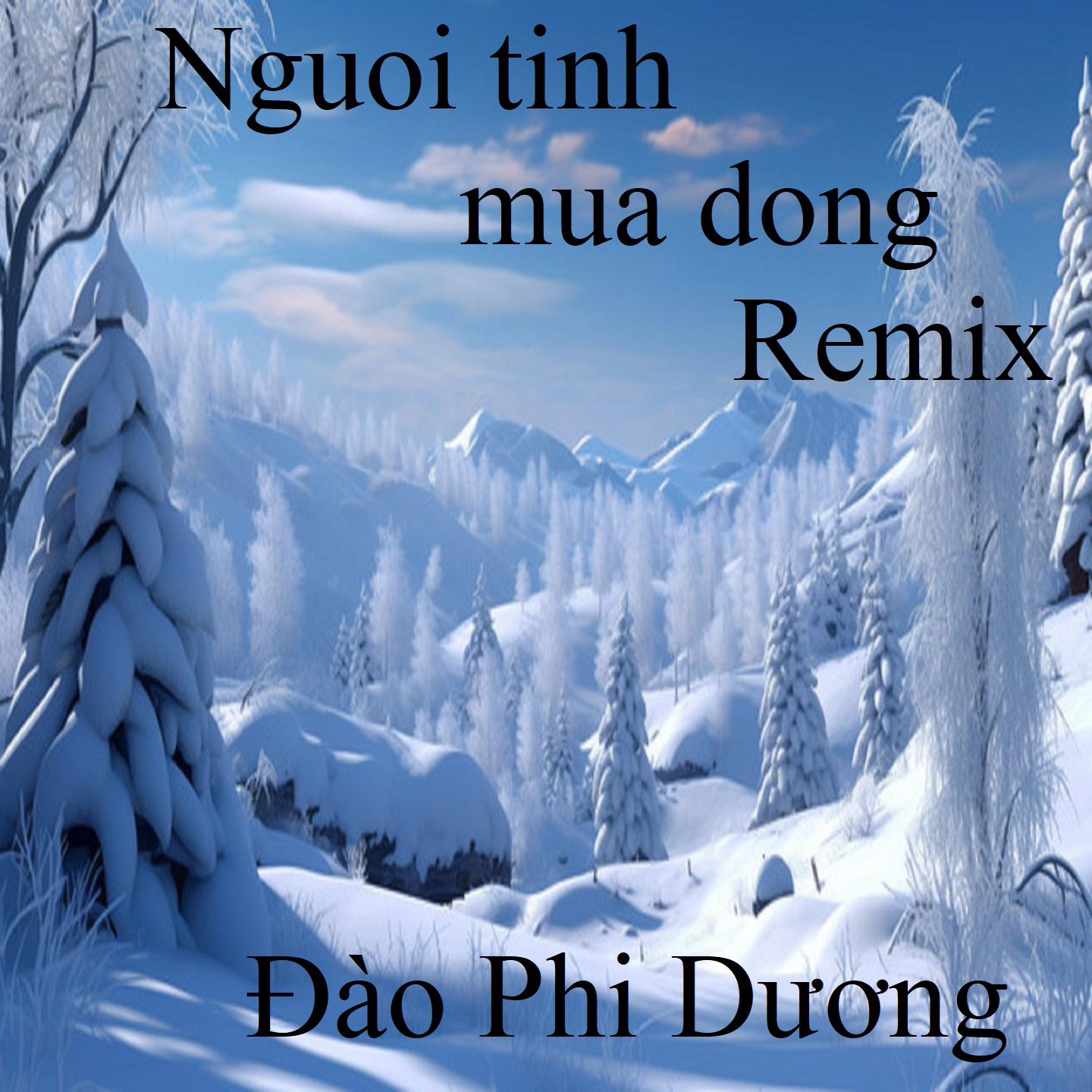 Постер альбома Nguoi tinh mua dong Remix