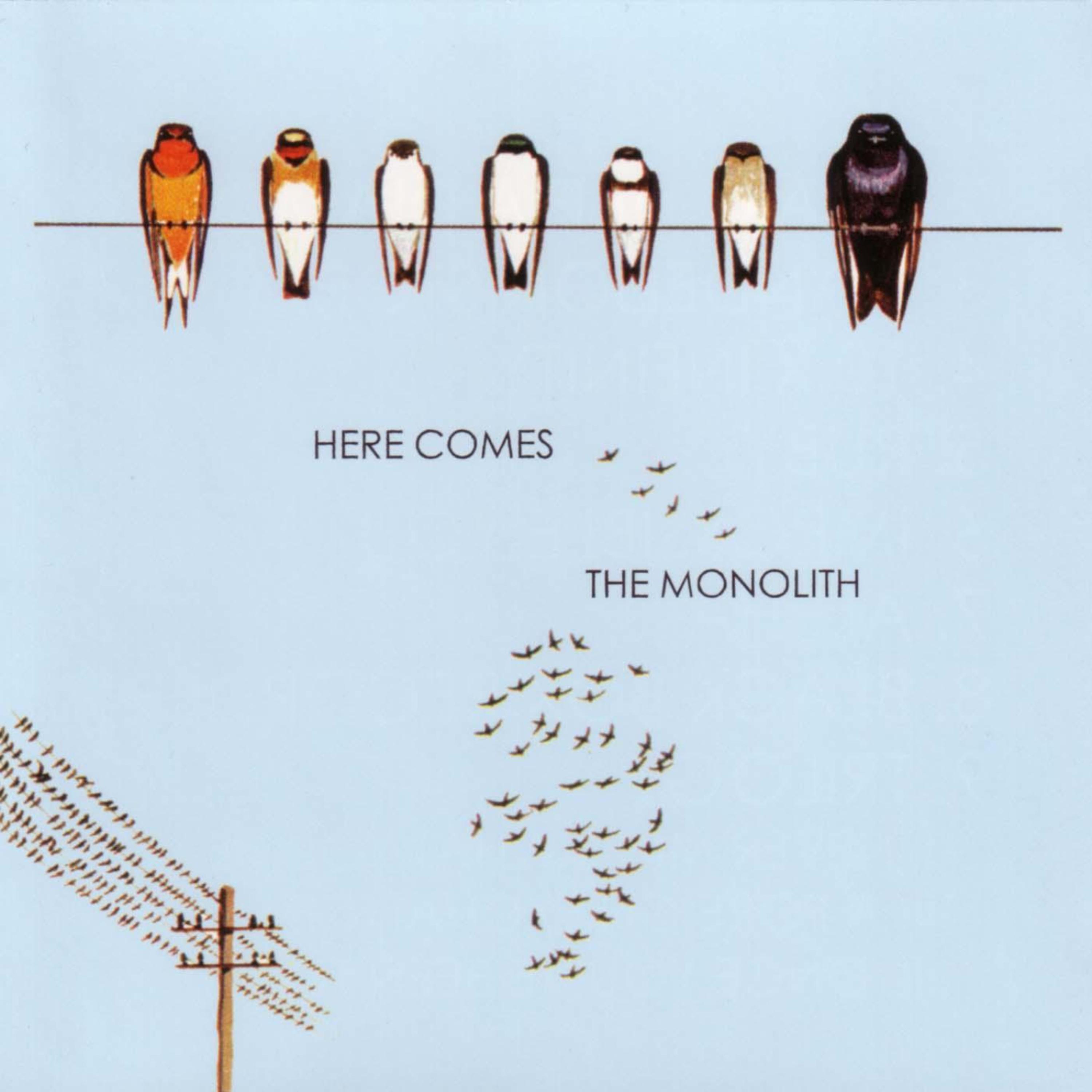 Постер альбома Here Comes The Monolith