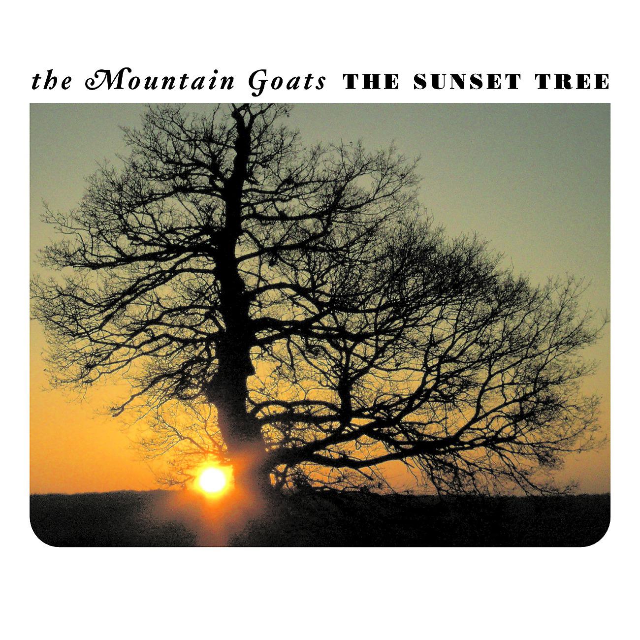 Постер альбома The Sunset Tree