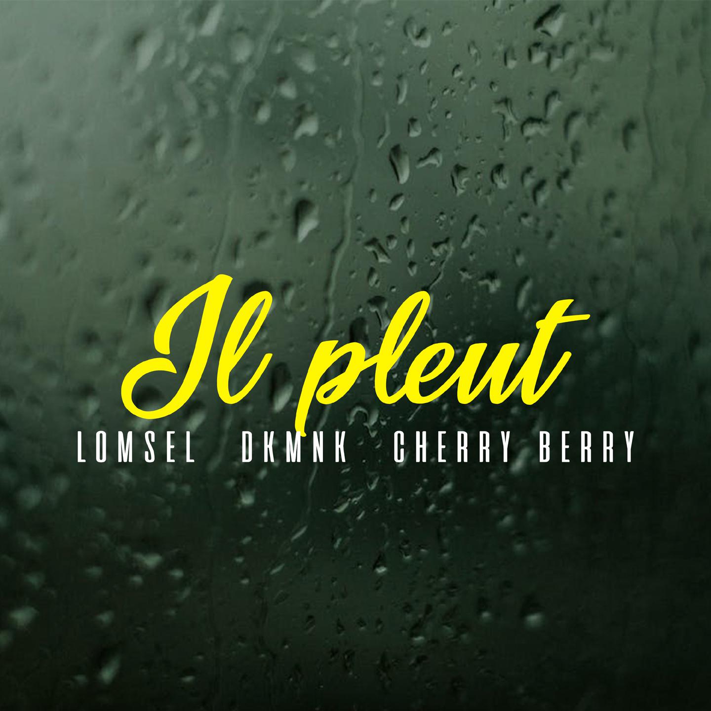 Постер альбома Il pleut