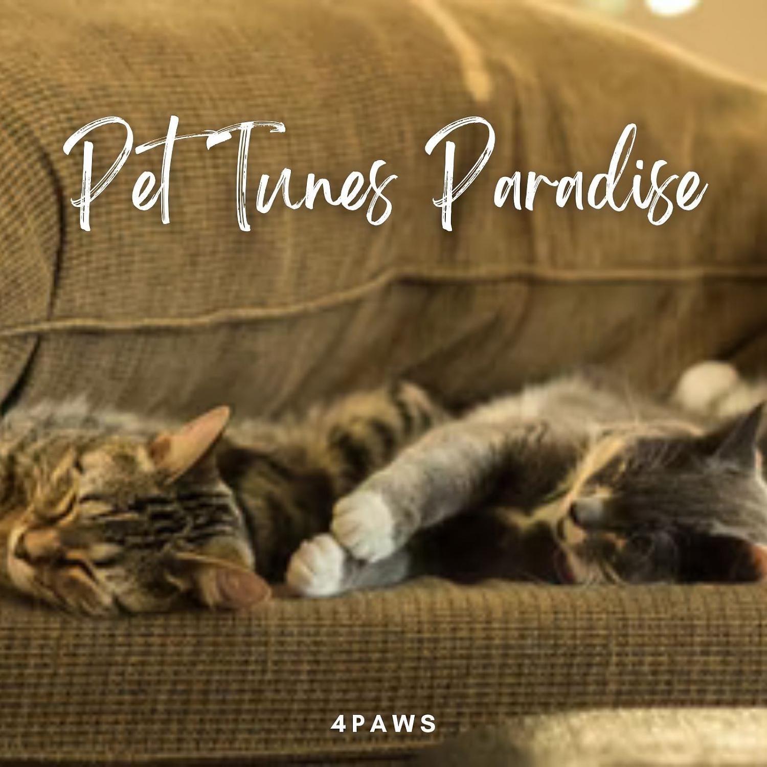 Постер альбома 4Paws: Pet Tunes Paradise