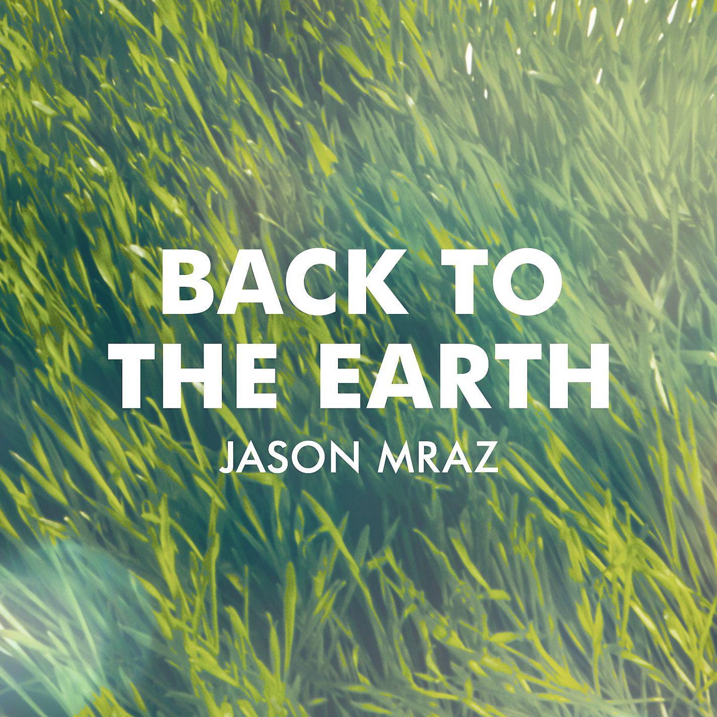 Постер альбома Back to the Earth