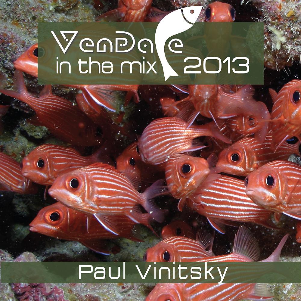 Постер альбома Vendace In The Mix 2013