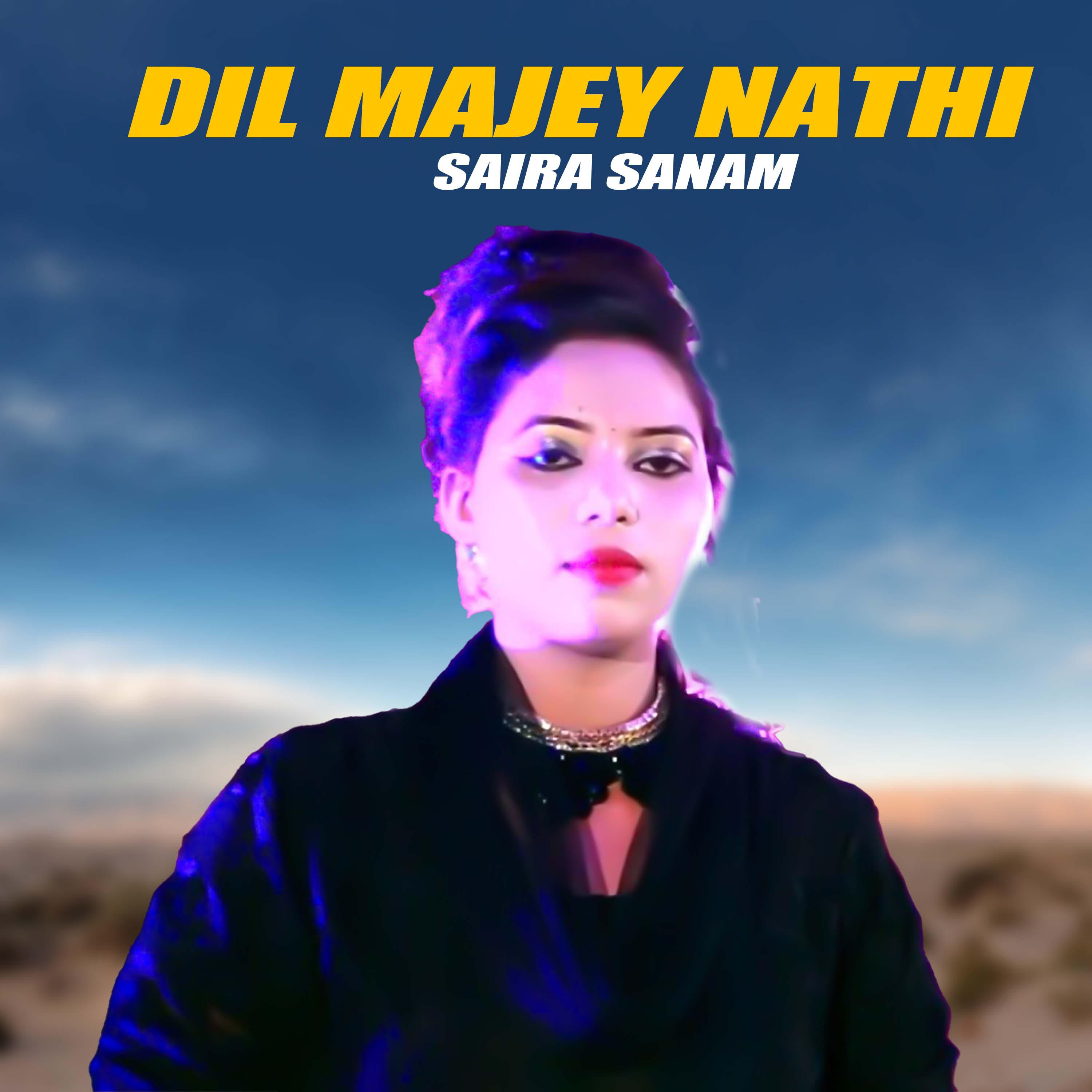 Постер альбома Dil Majey Nathi