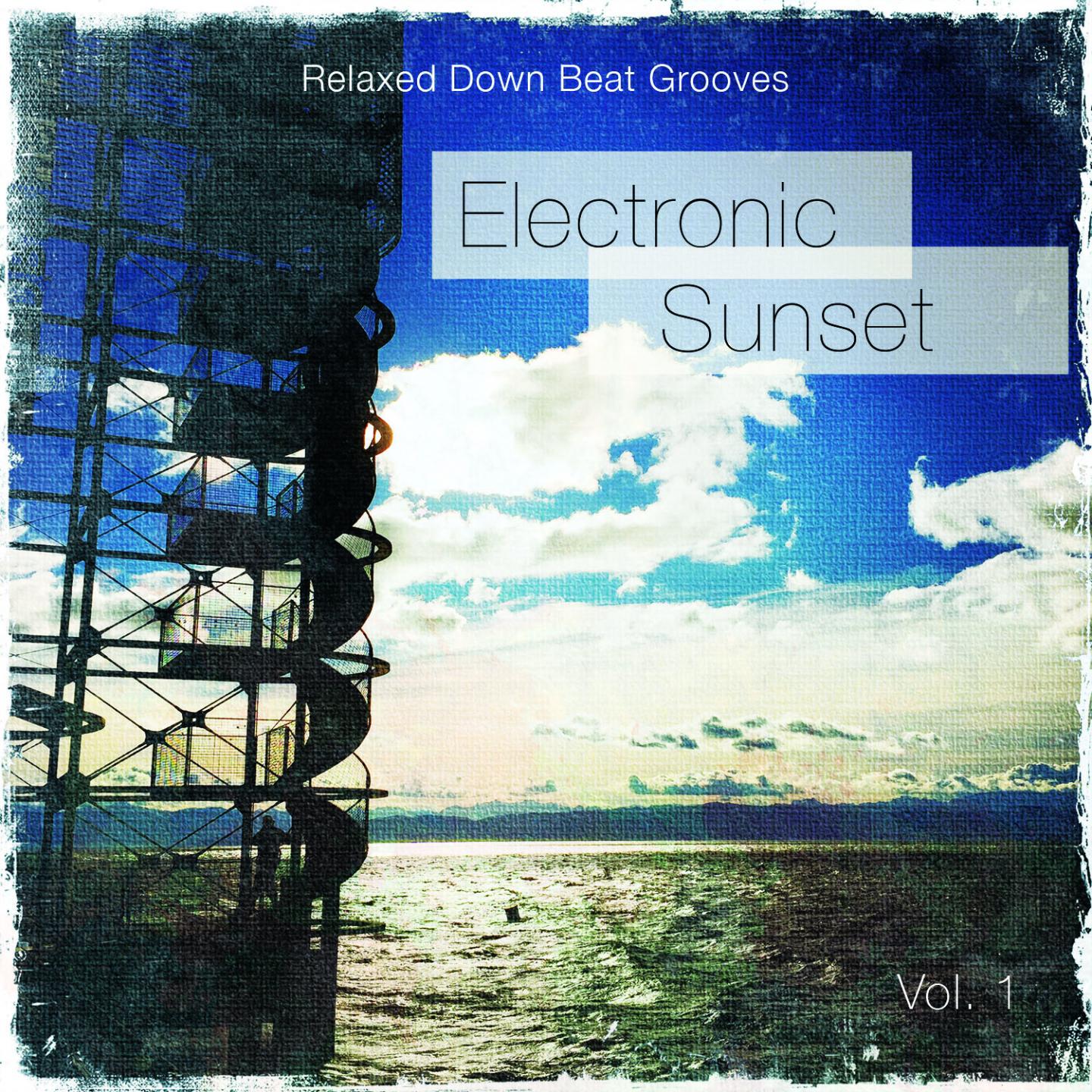 Постер альбома Electronic Sunset, Vol. 1
