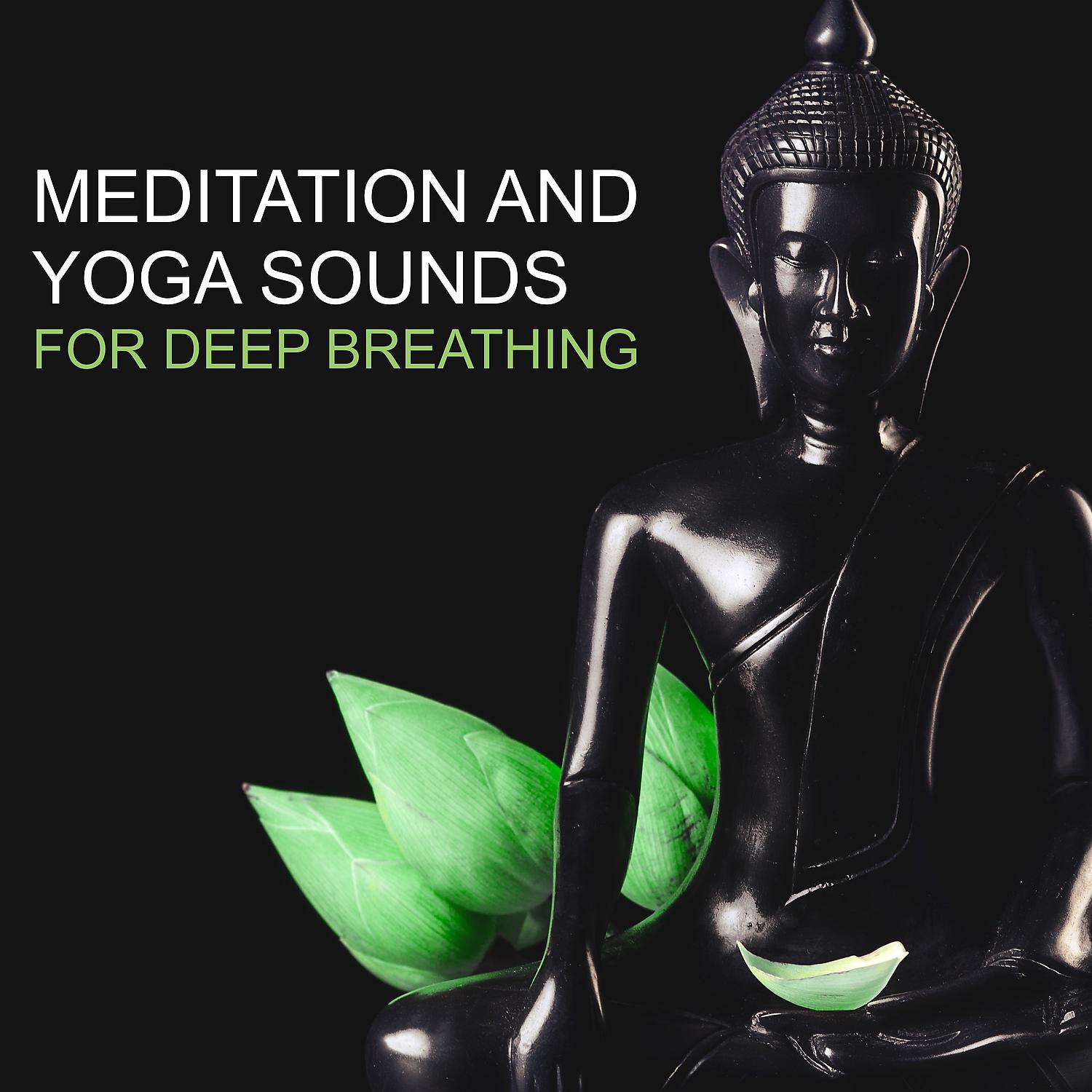 Постер альбома Mediation and Yoga Sounds for Deep Breathing – Life with Harmony, Healing Reiki, Find Your Natural Balance and Inner Peace