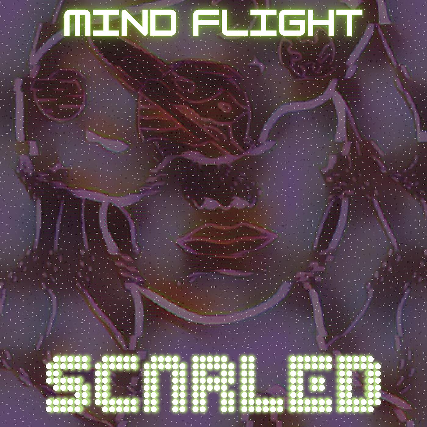 Постер альбома Mind Flight
